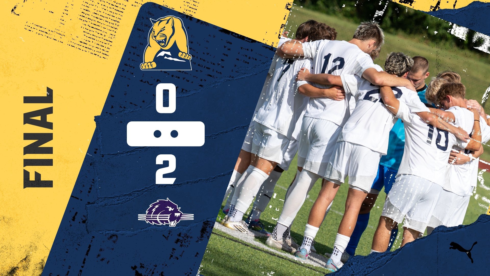 Lions Fall 2-0