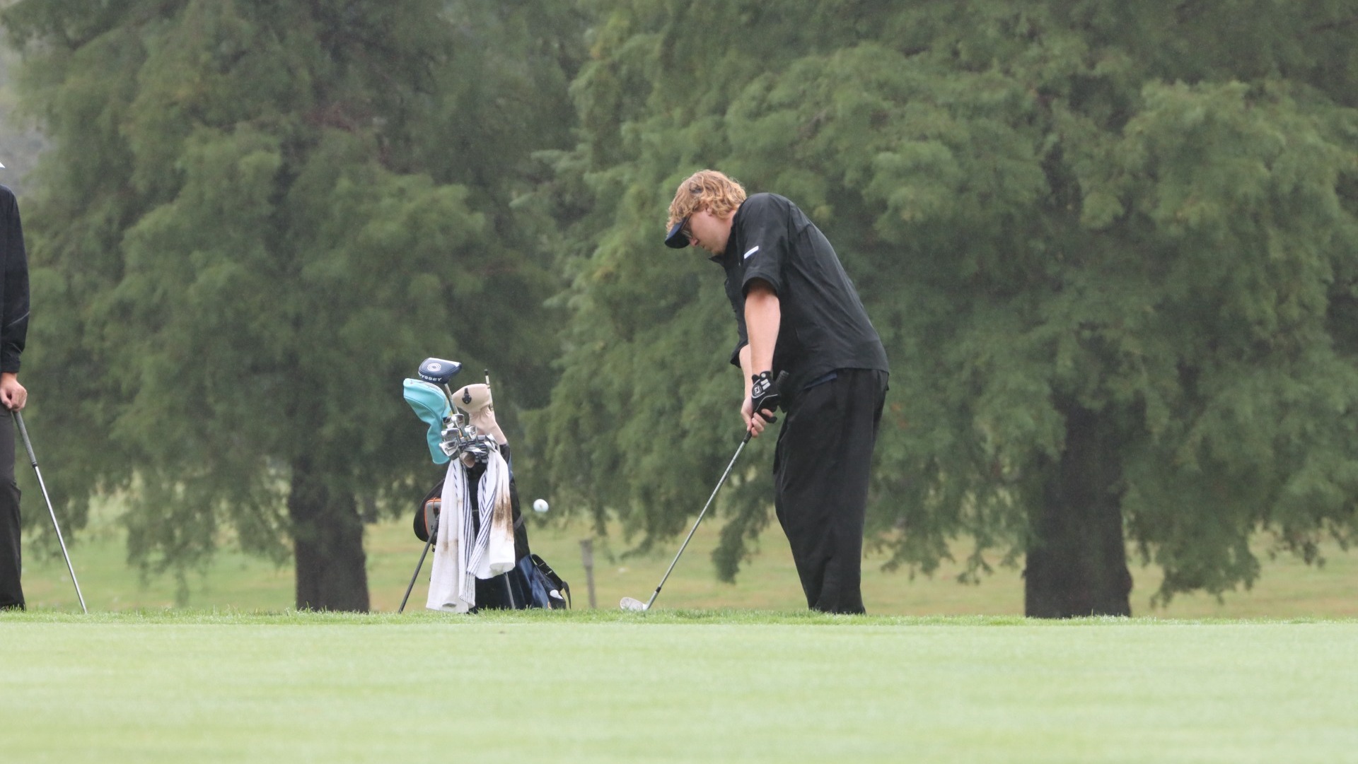 Men's Golf Carter Stried