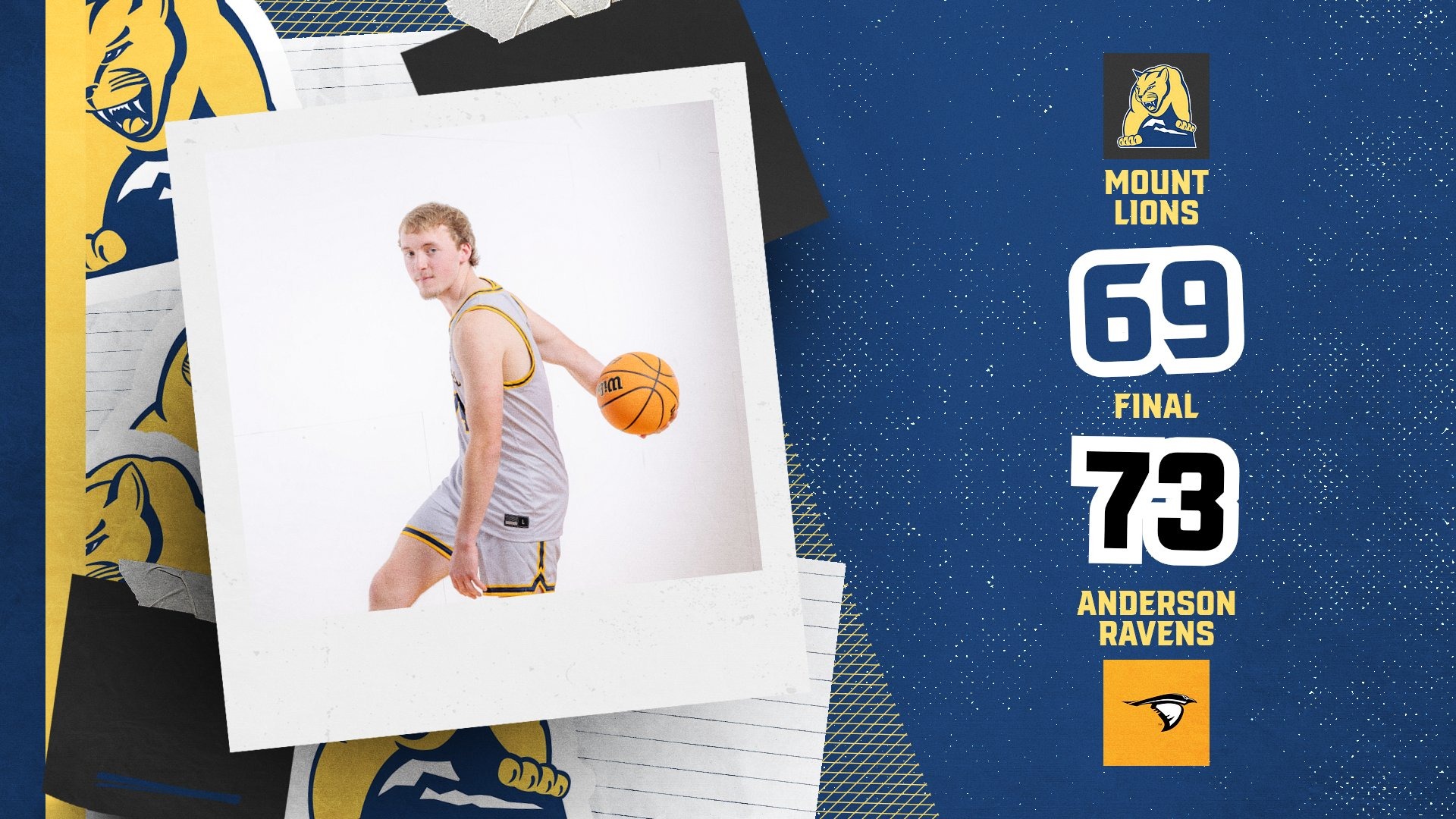 Lions Fall to Anderson