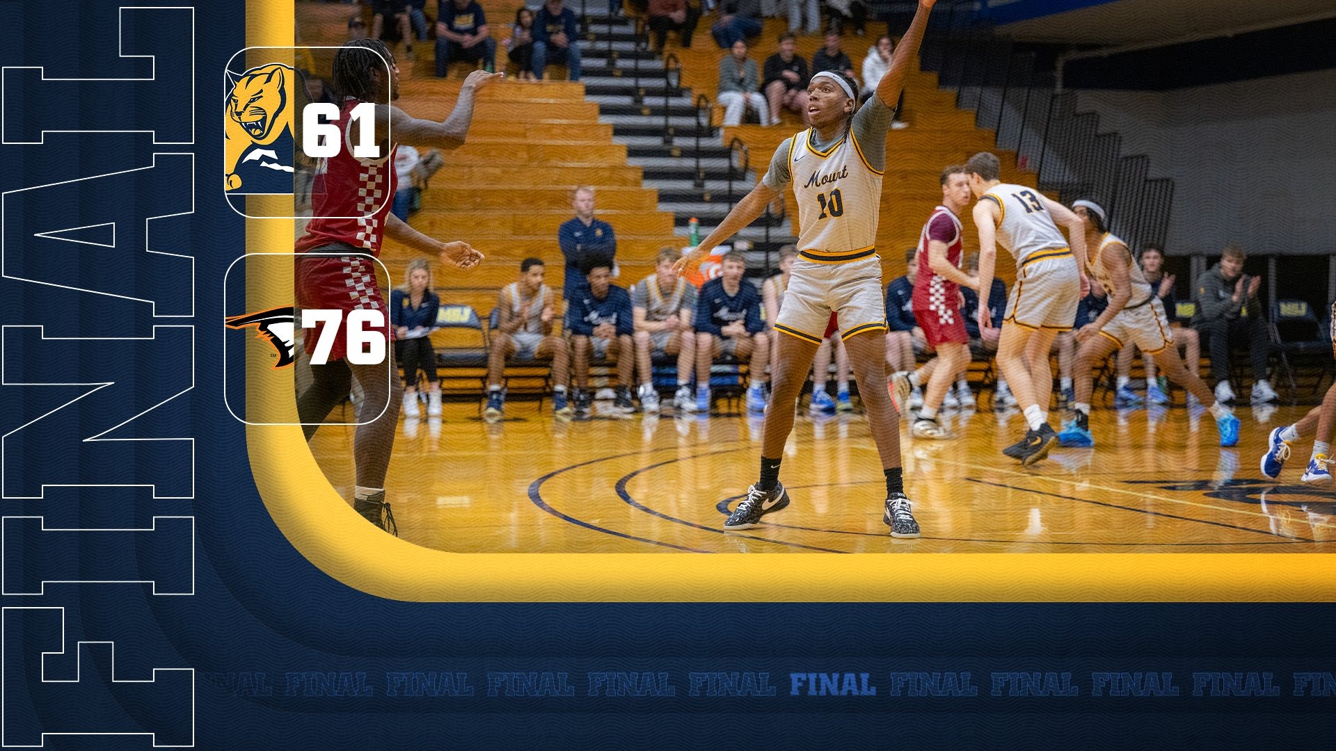 Lions Fall at Anderson