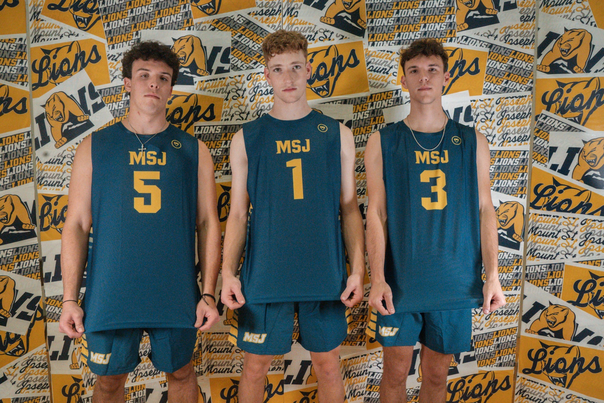 Lions fall to Calvin in three sets 