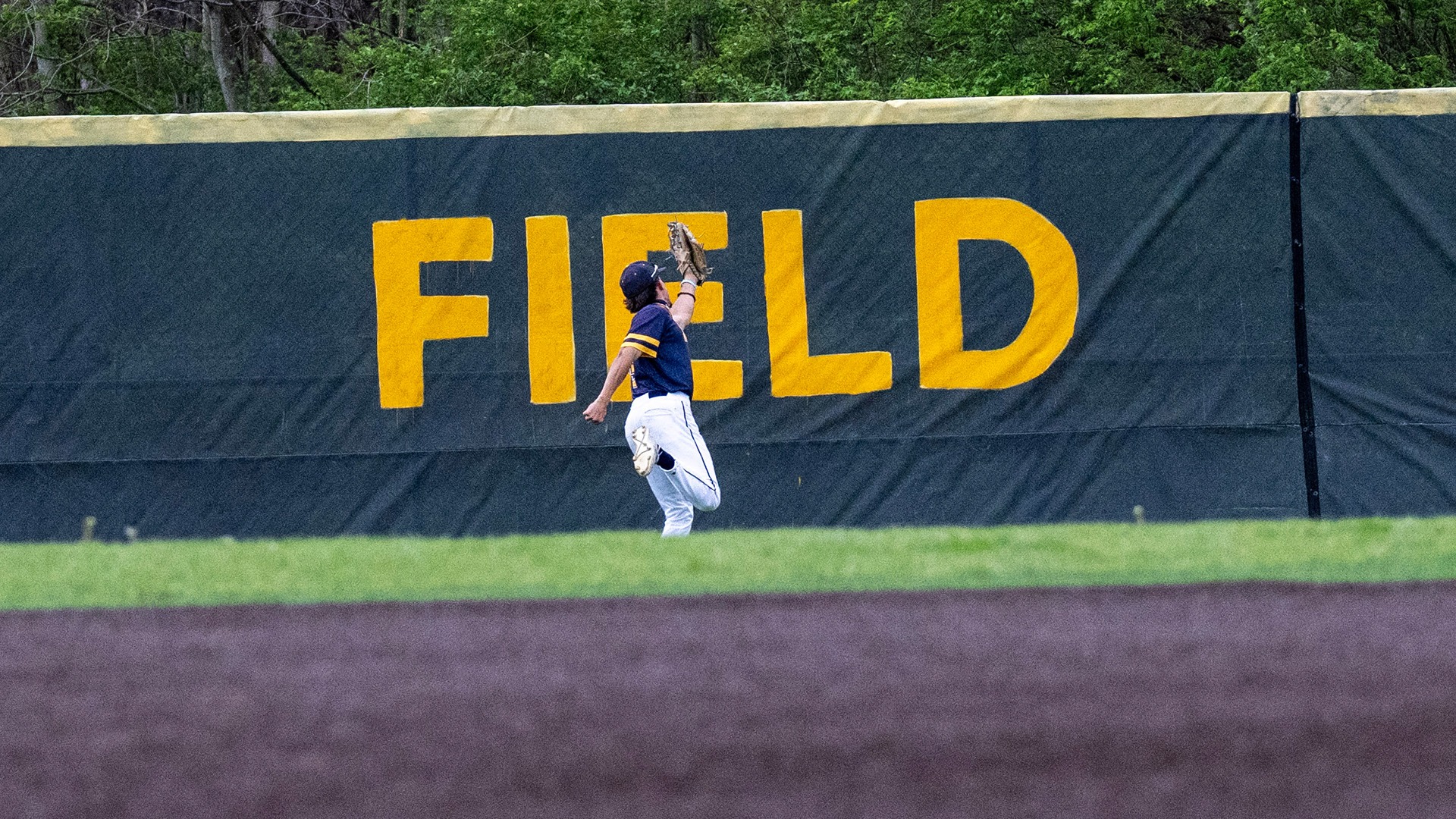 Baseball Player Making Running Catch