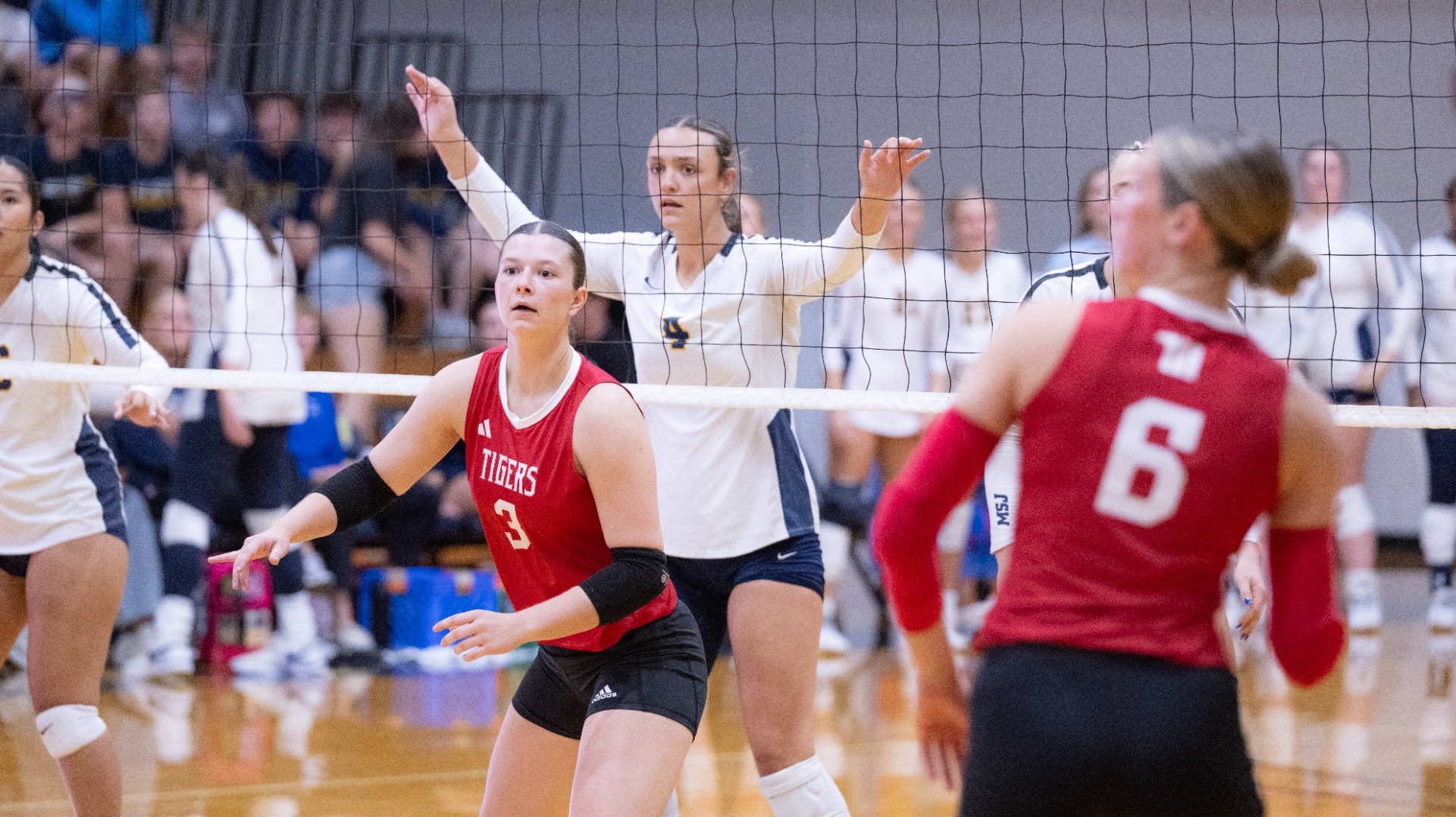 Women's Volleyball Sydney Doty