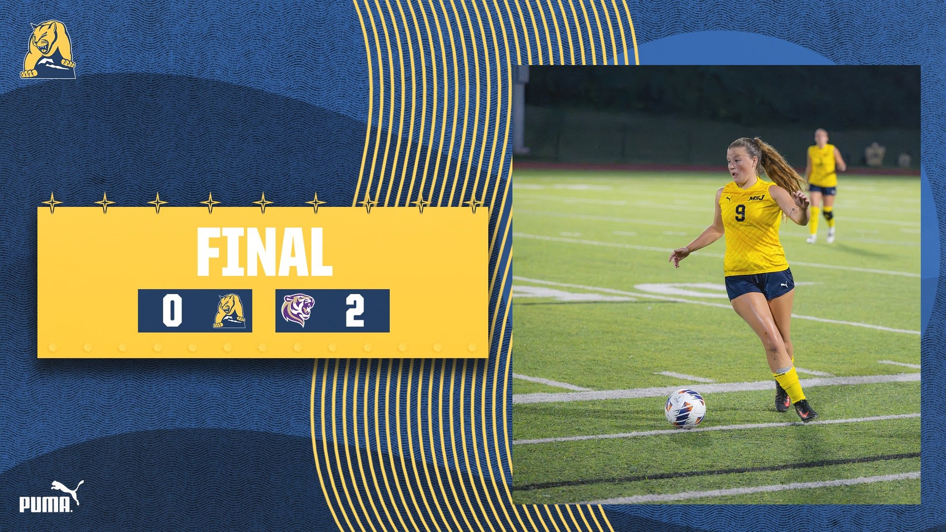 Lions Fall 2-0