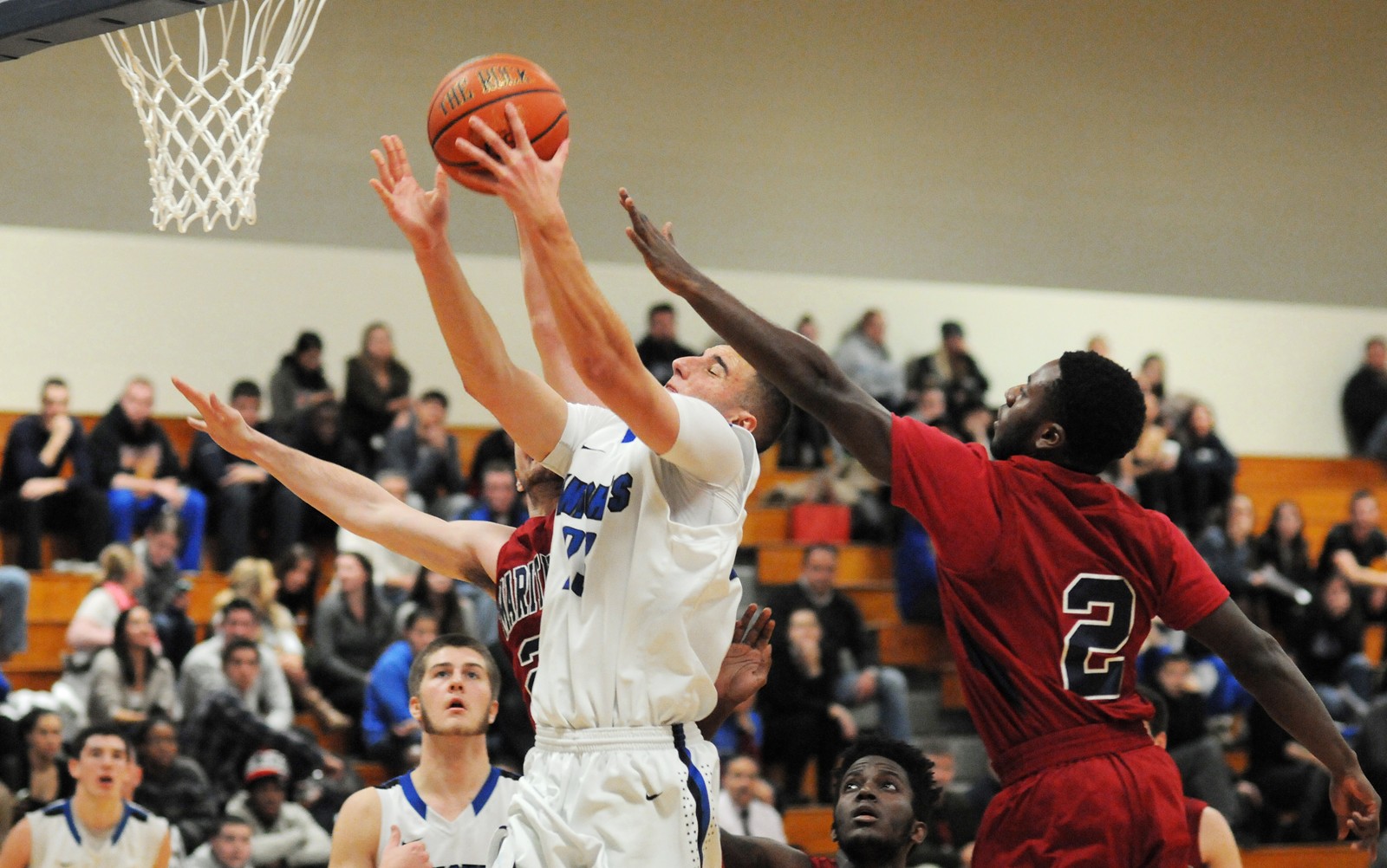 Gerard Nocera Men's Basketball Mount Saint Mary College Athletics