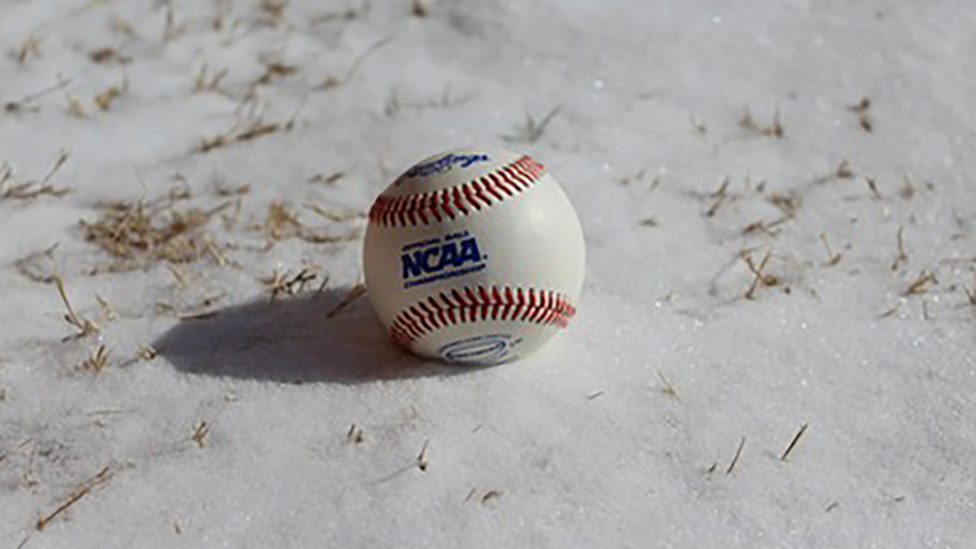 baseball snow