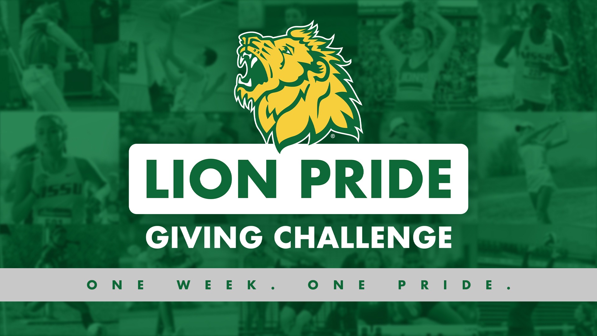 Lion Pride Giving Challenge