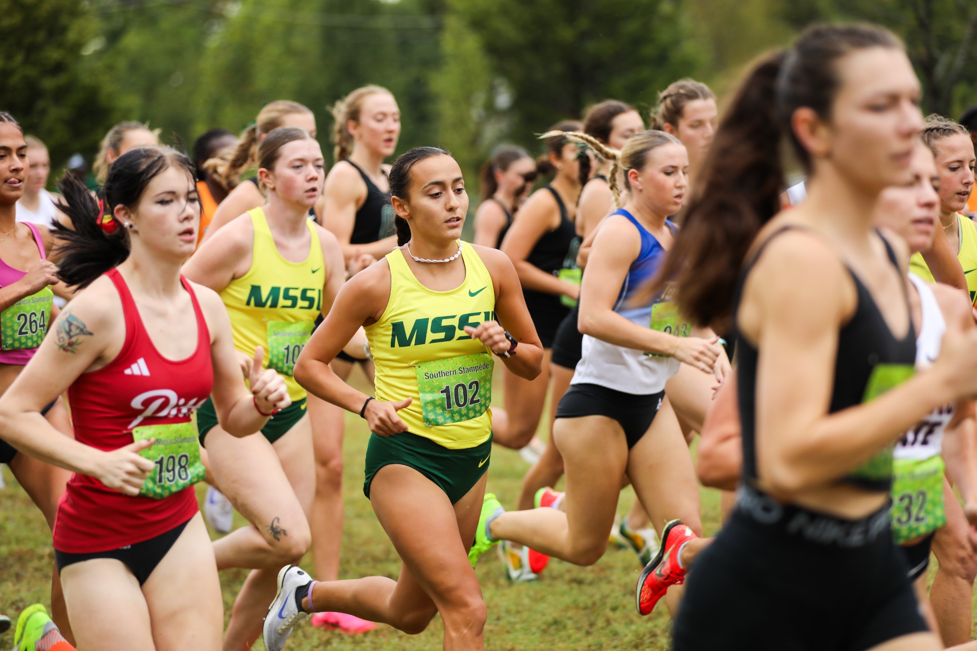 Southern Stampede 2025