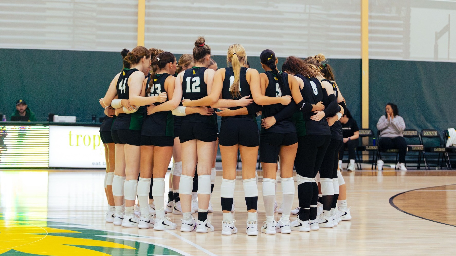 VolleyballBANNER