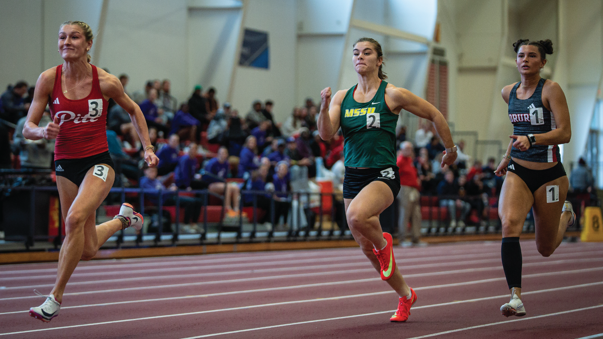 LionsLookAheadBANNER