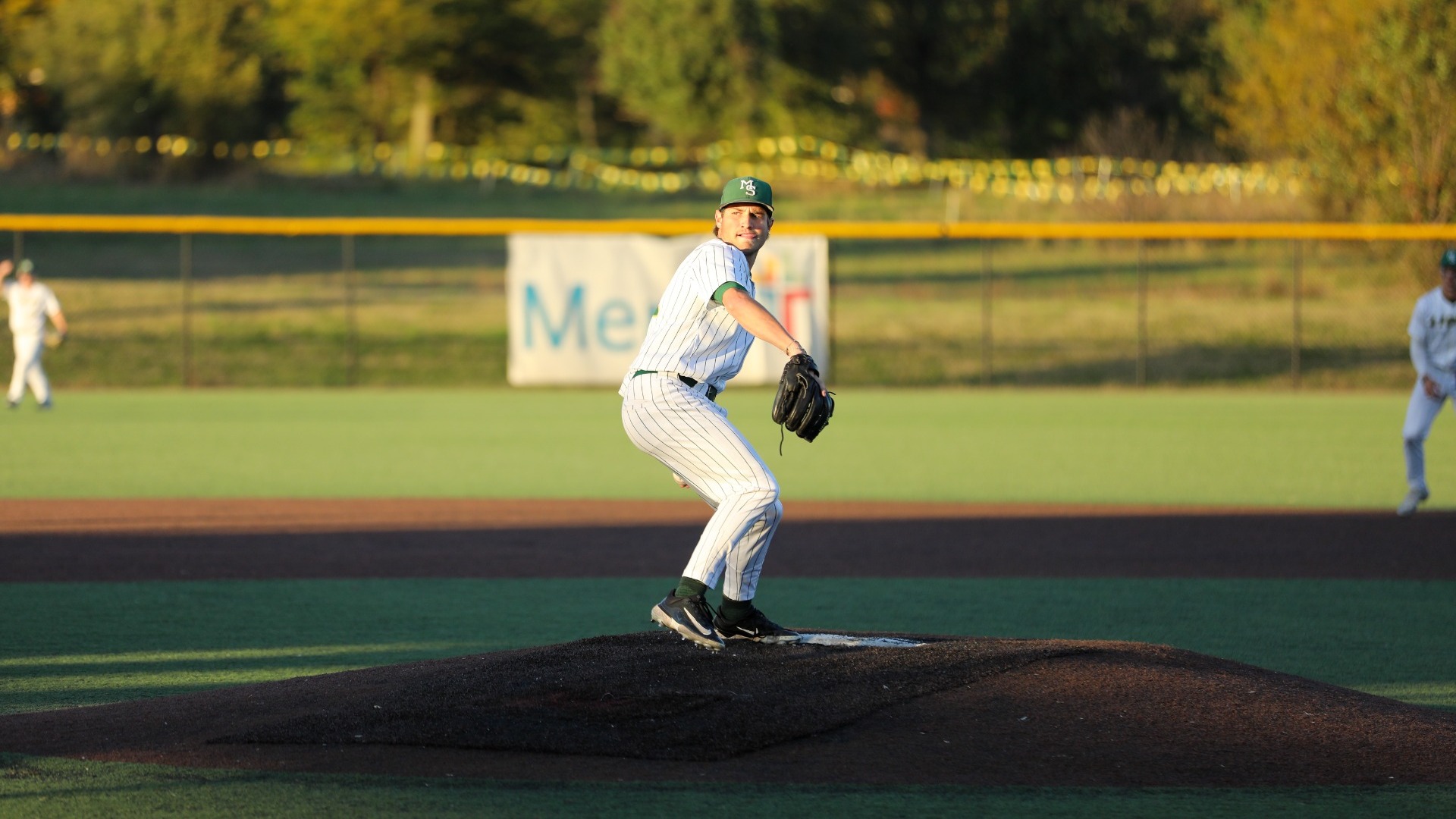 SchniederBaseballBanner