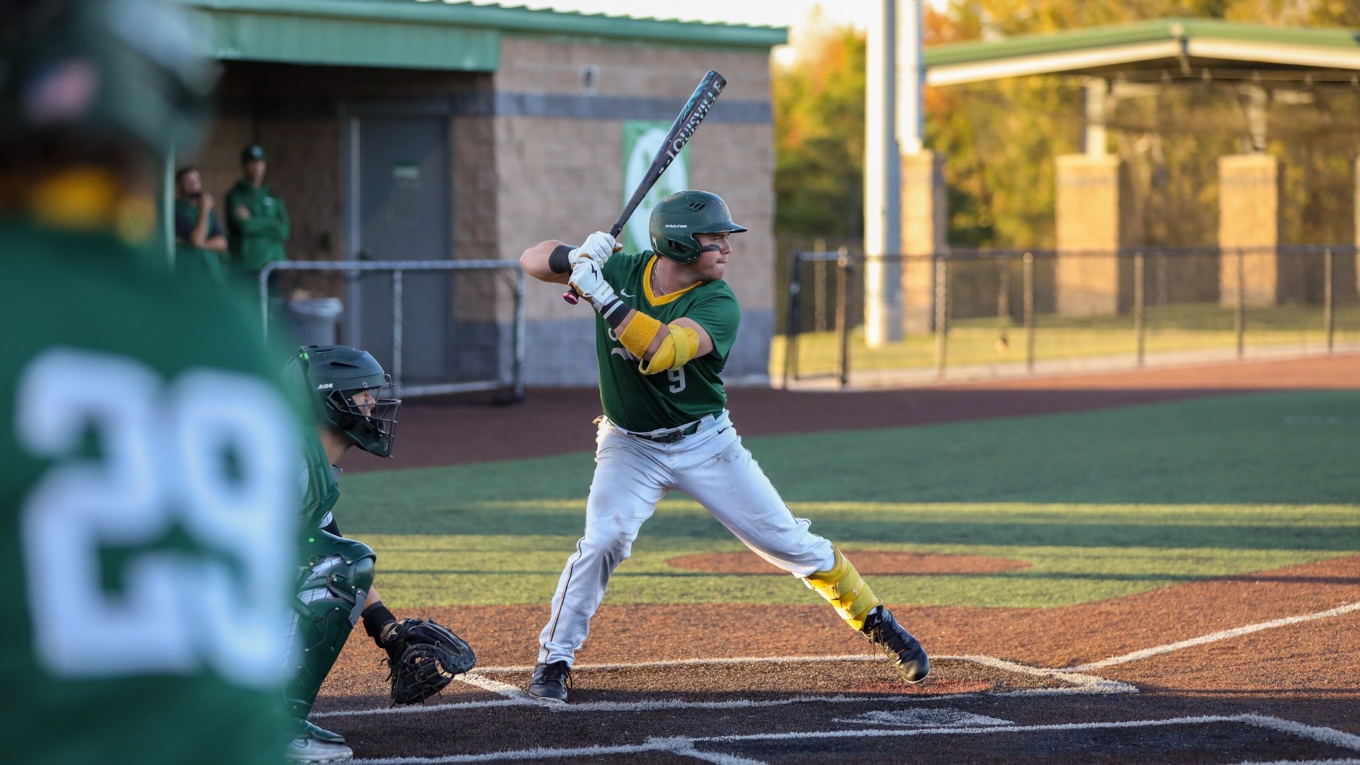 BaseballBannerWillDoherty