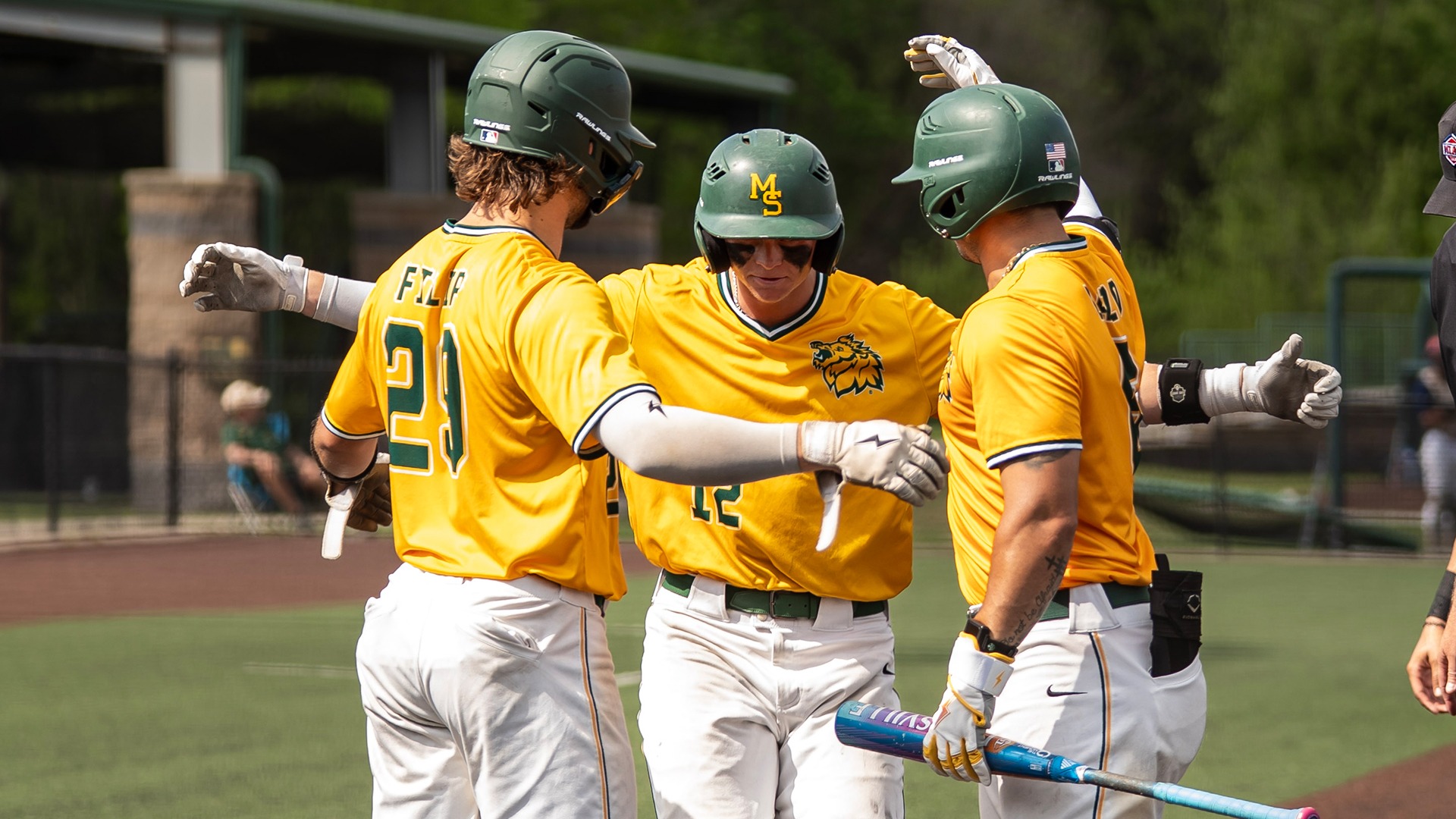 BLAKE JONES_MSSU BASEBALL BANNER_NEWMAN_2026_4-14-2026_DSC09875.jpg