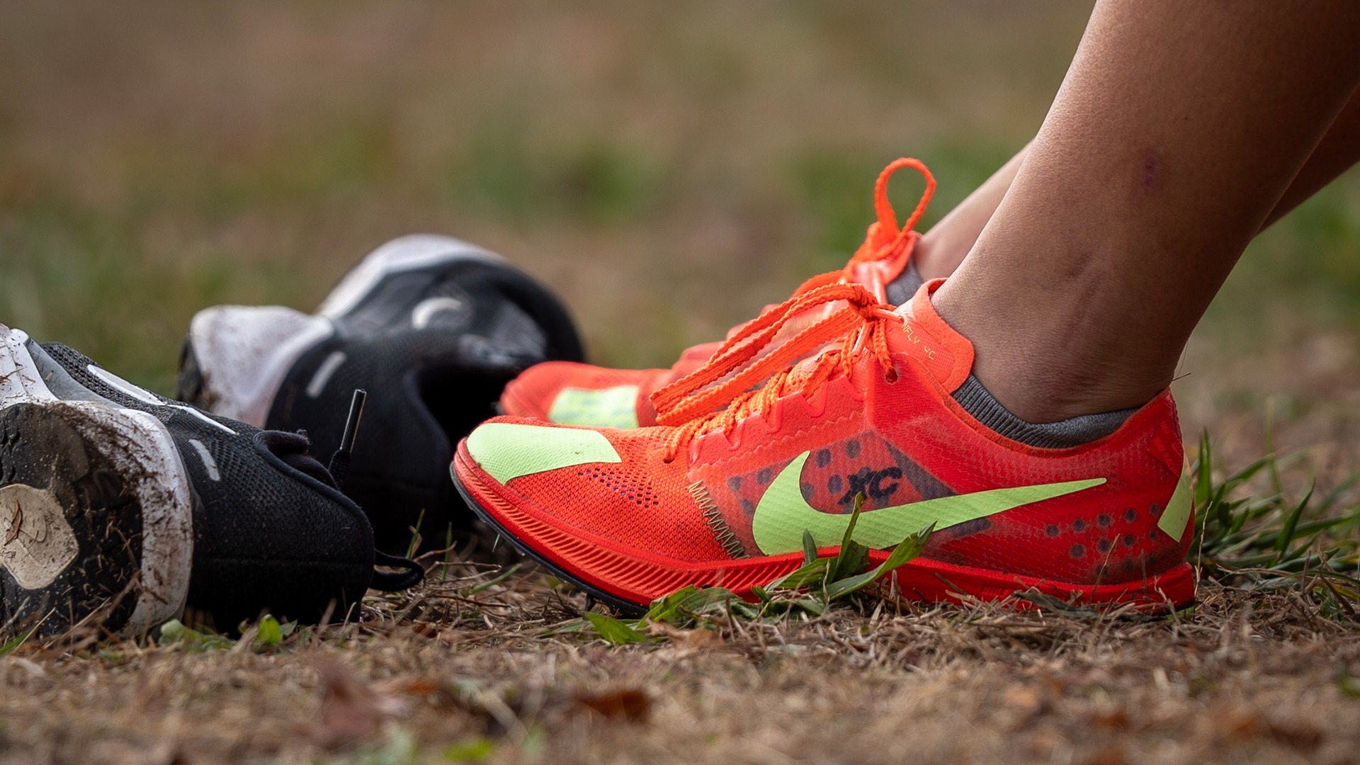 2025 Cross Country Shoes BANNER.jpg