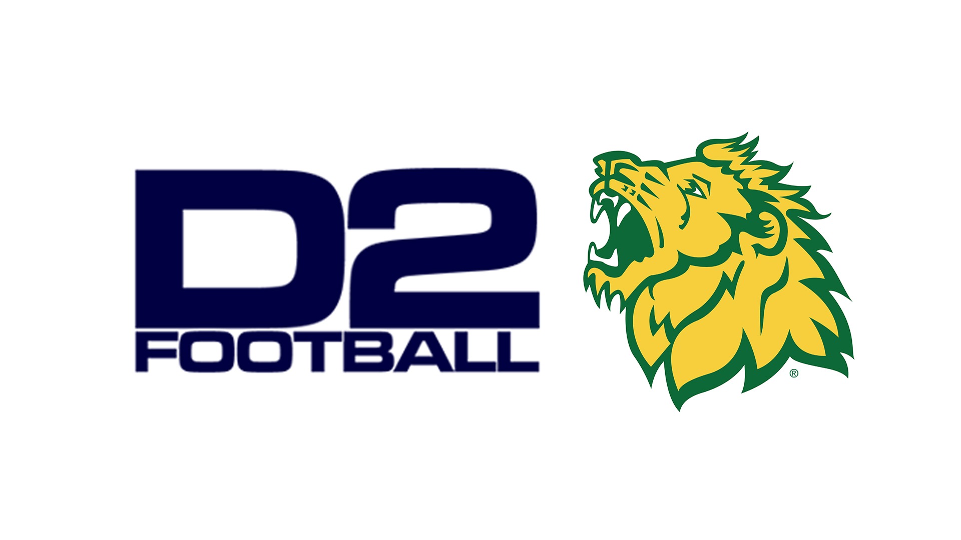 MSSU Football-D2 Football BANNER.jpg
