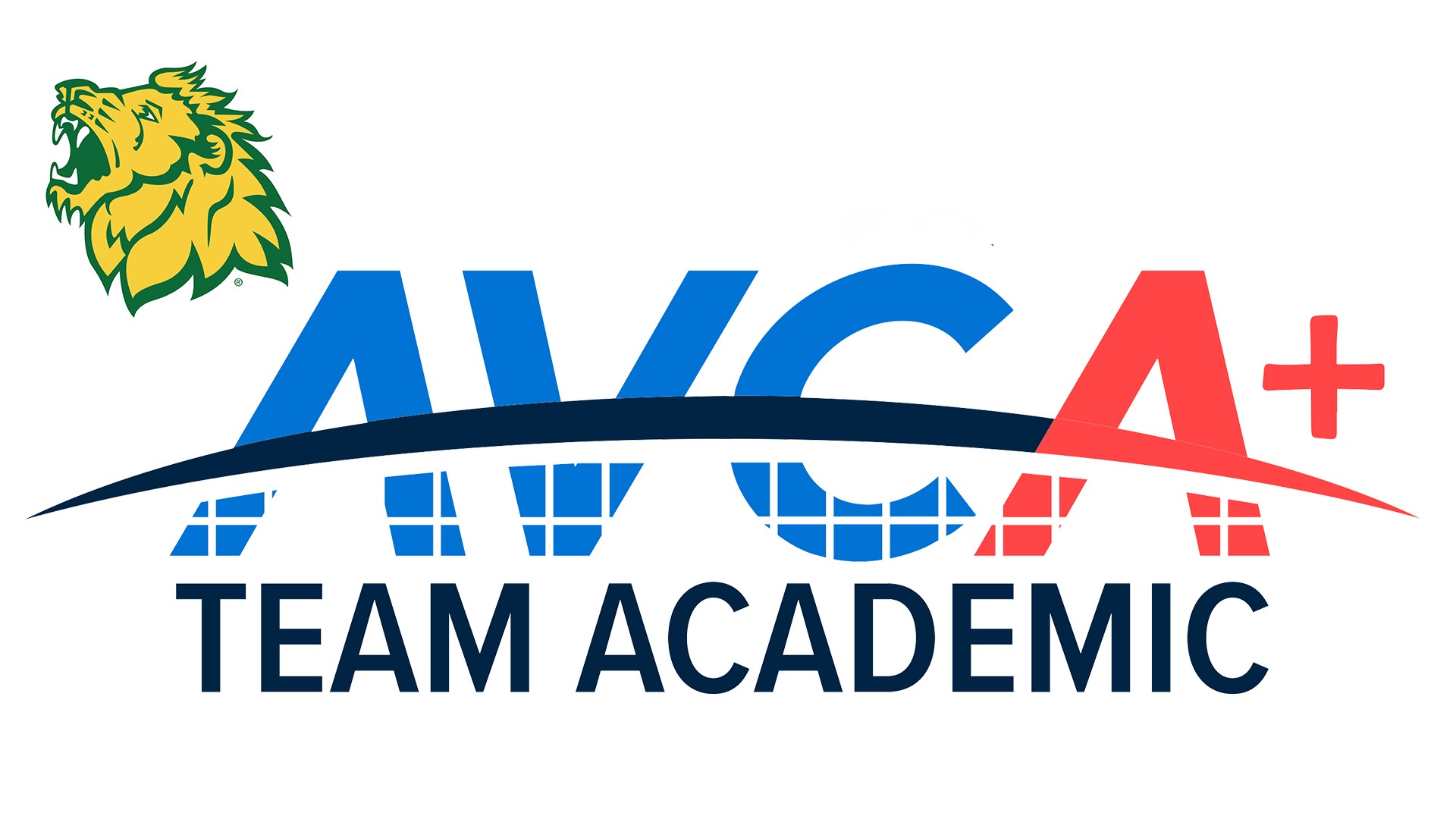 AVCA_MSSU 2026 BANNER-NEW.jpg