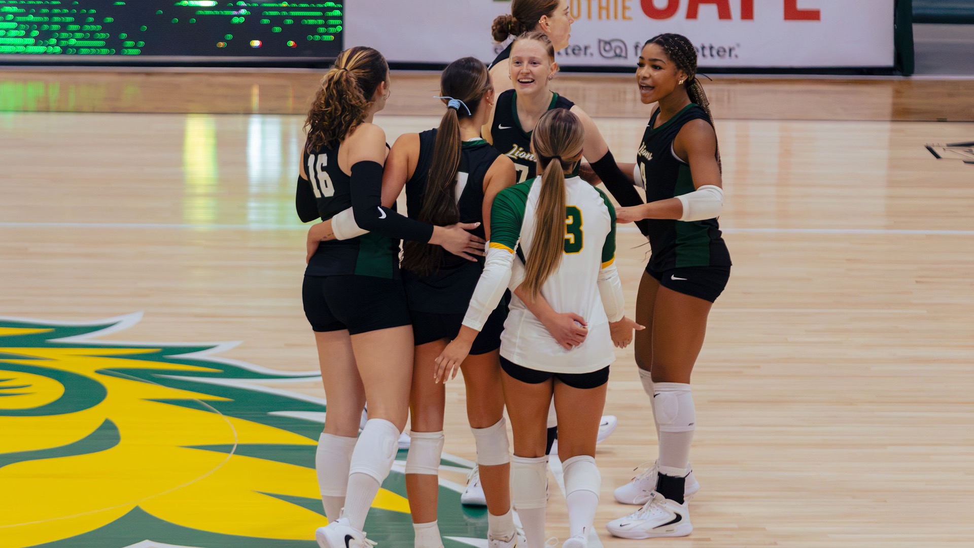 2026 MSSU VB BANNER_55499888636_d281fe100b_o.jpg