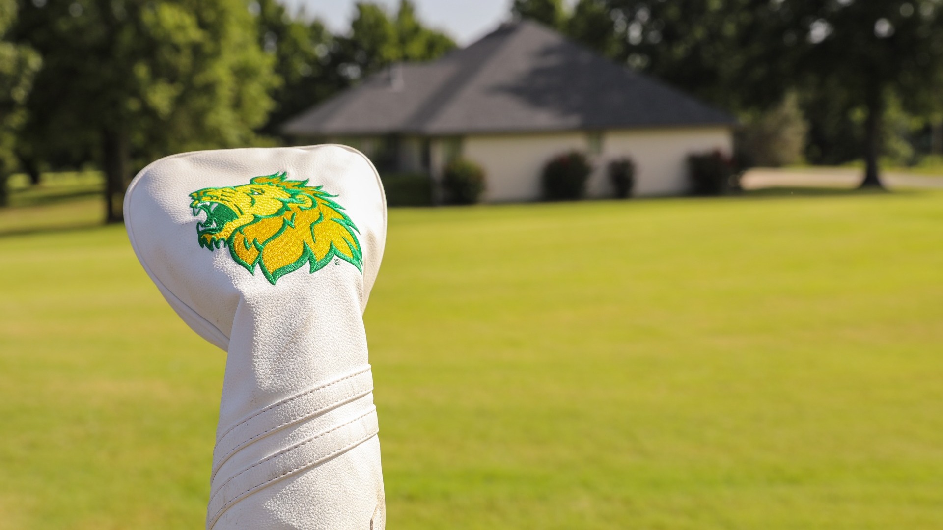 GolfBANNER