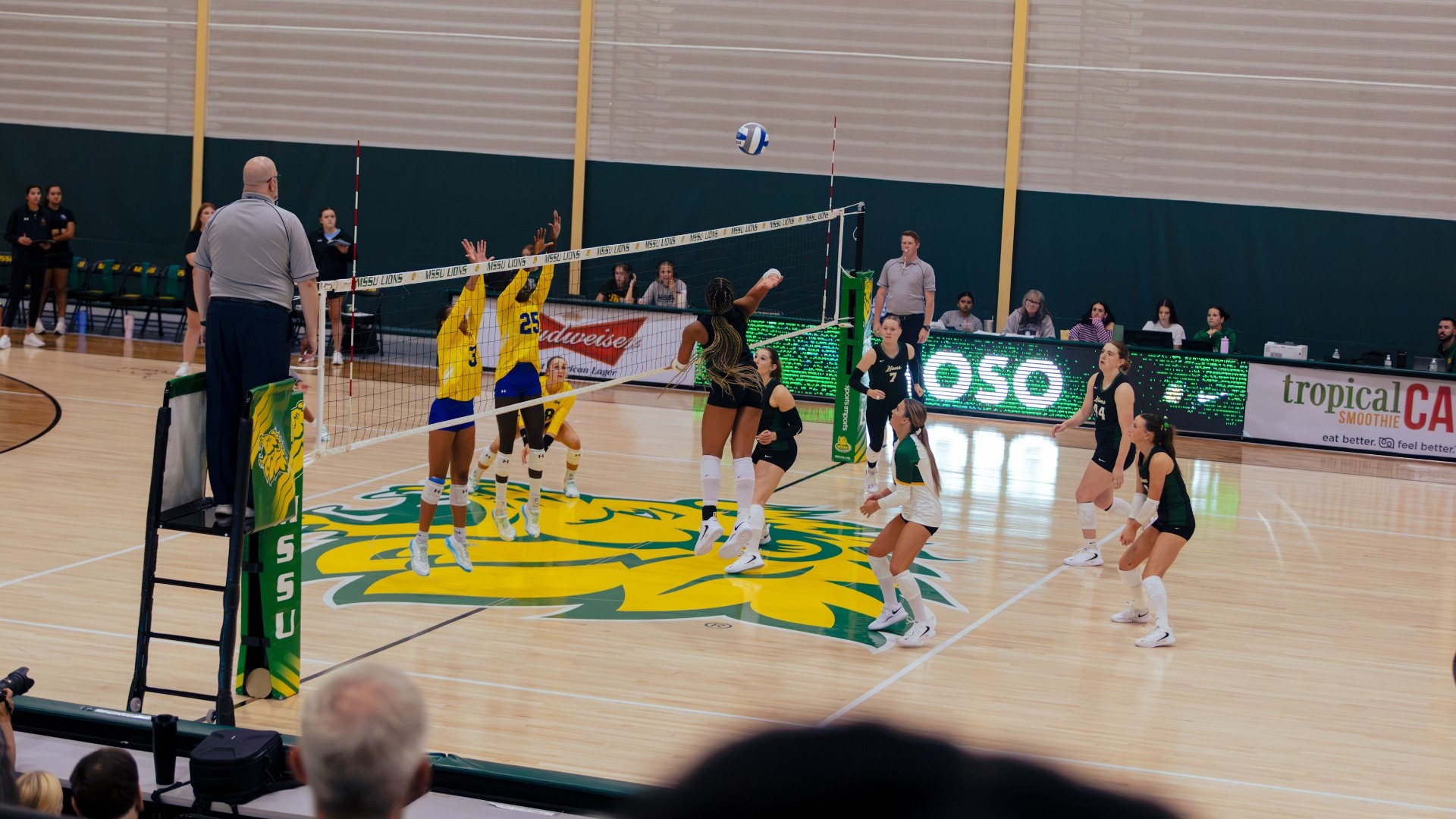Volleyball2026BANNER