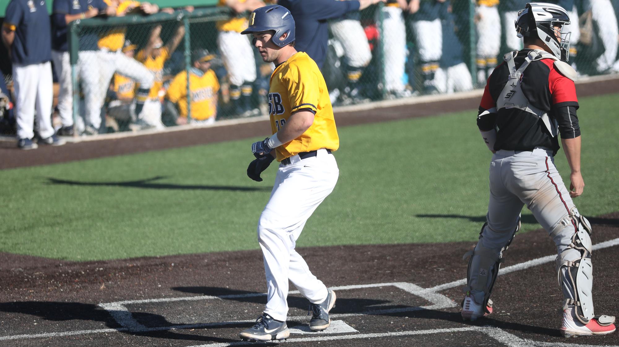 Justin Lutz Baseball Montana State University Billings Athletics