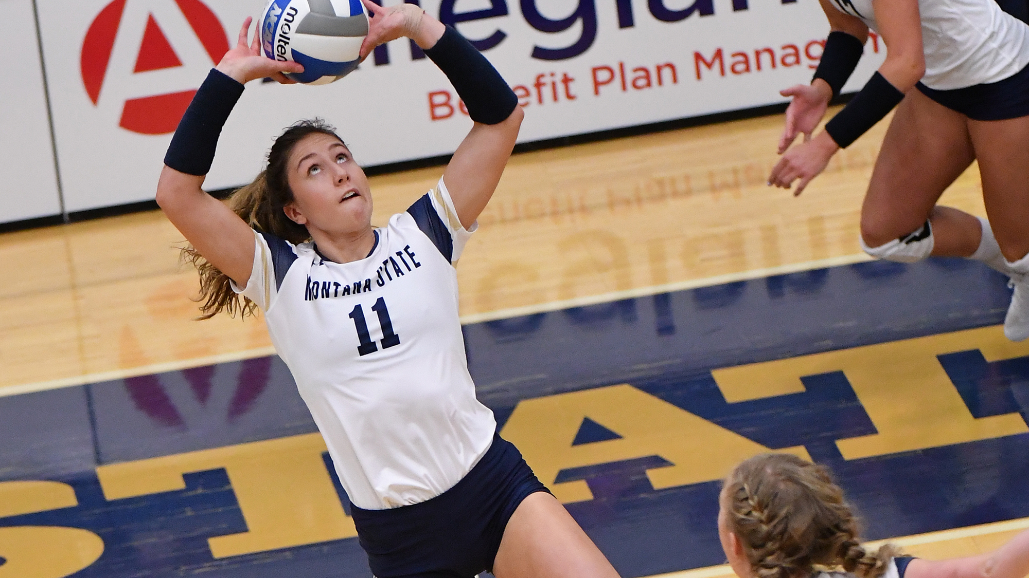Allie Lynch Women's Volleyball Montana State University Athletics