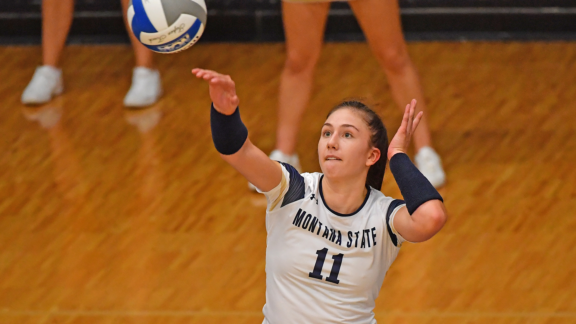 Allie Lynch Women's Volleyball Montana State University Athletics