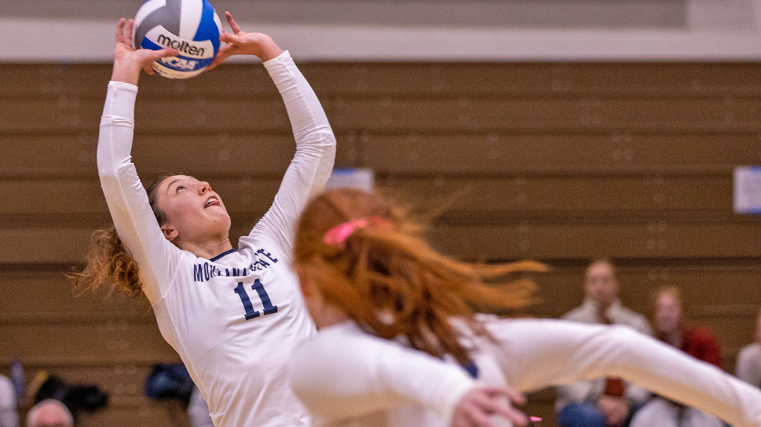 Allie Lynch Women's Volleyball Montana State University Athletics