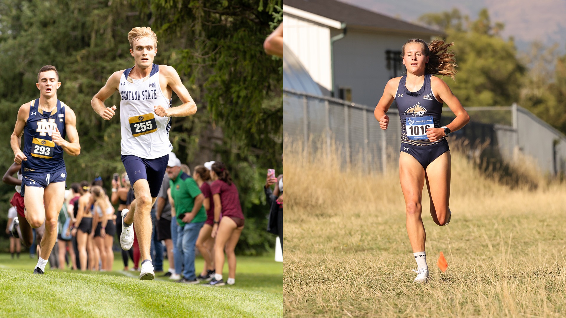 Bobcat Cross Country and Track and Field Inks 12 Distance Signees for