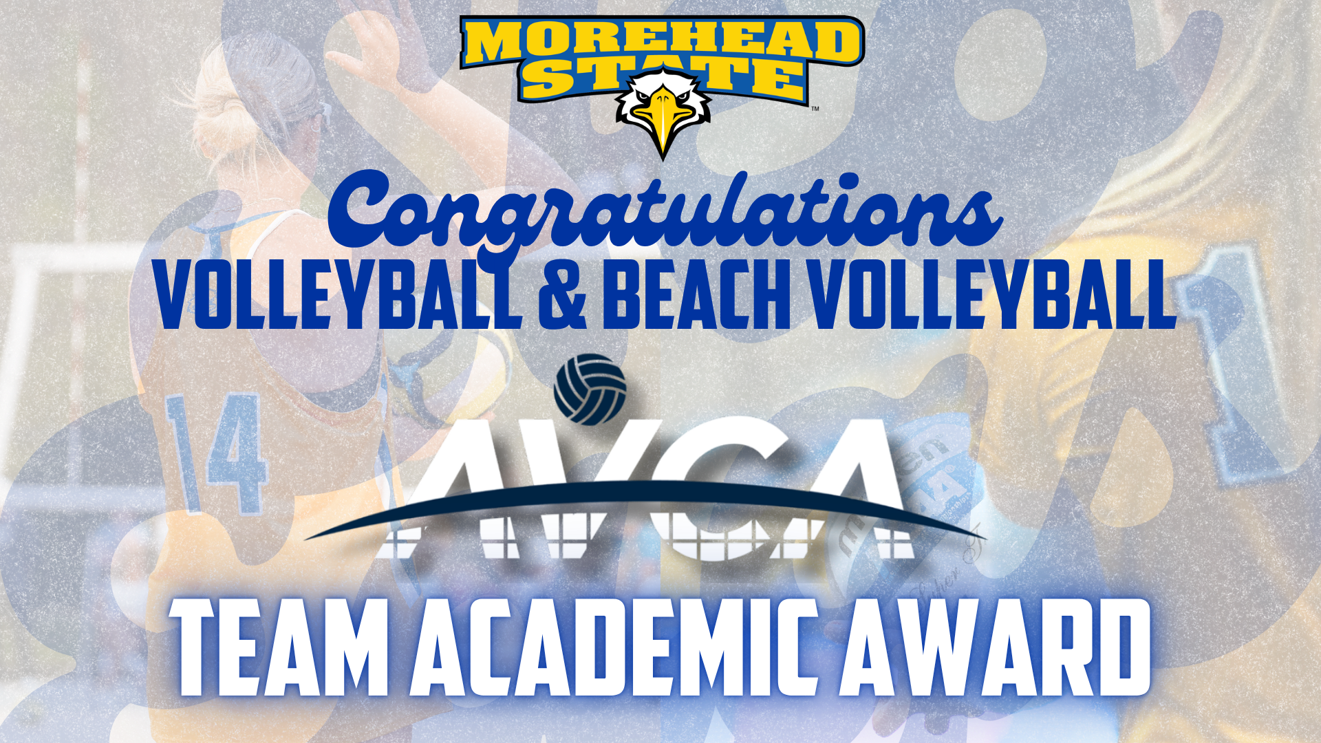 AVCA Team Academic 2025-26