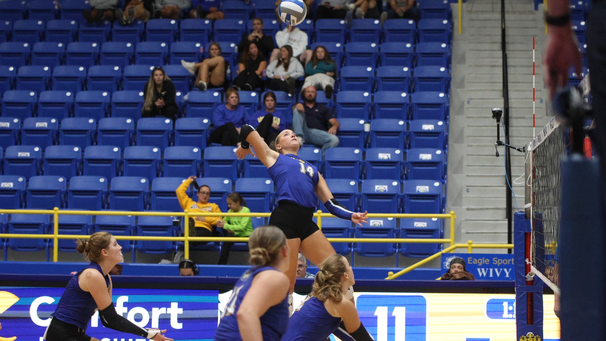 Hollan Everett terminates