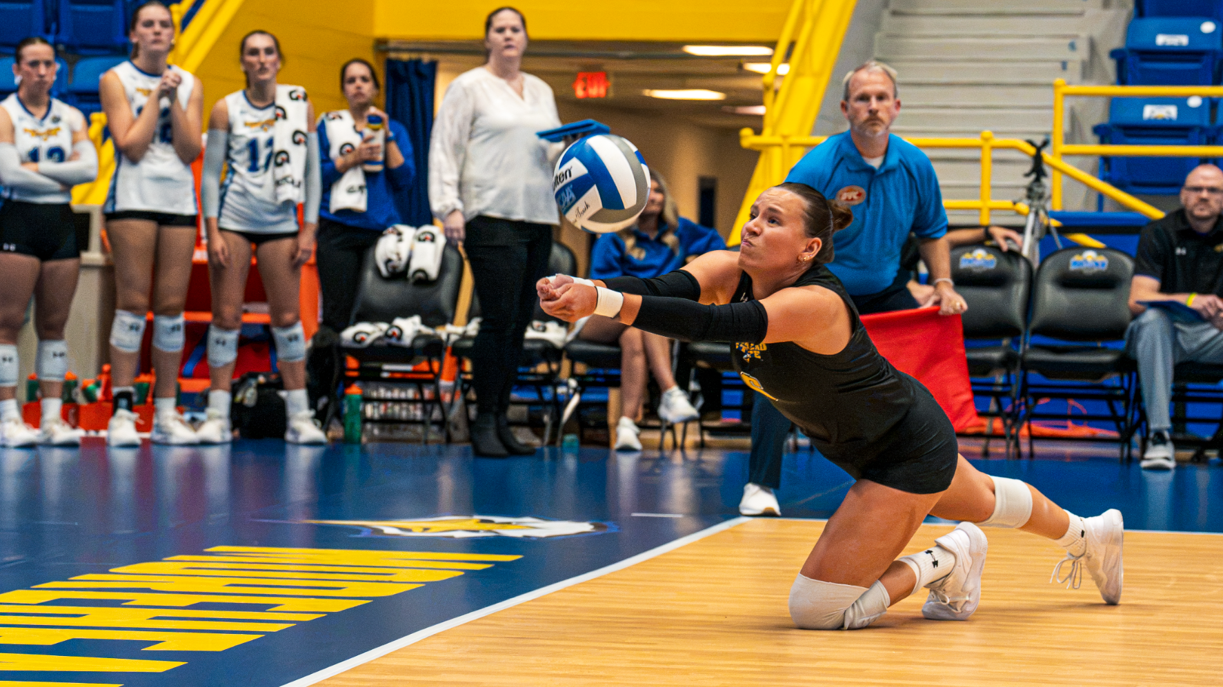 Courtney Fitzgerald Dig