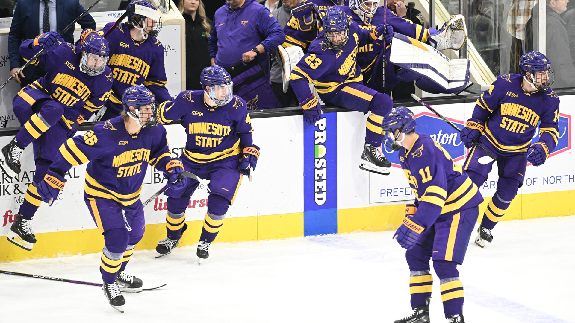 mavericks-kennel-bulldogs-6-2-minnesota-state-university-mankato