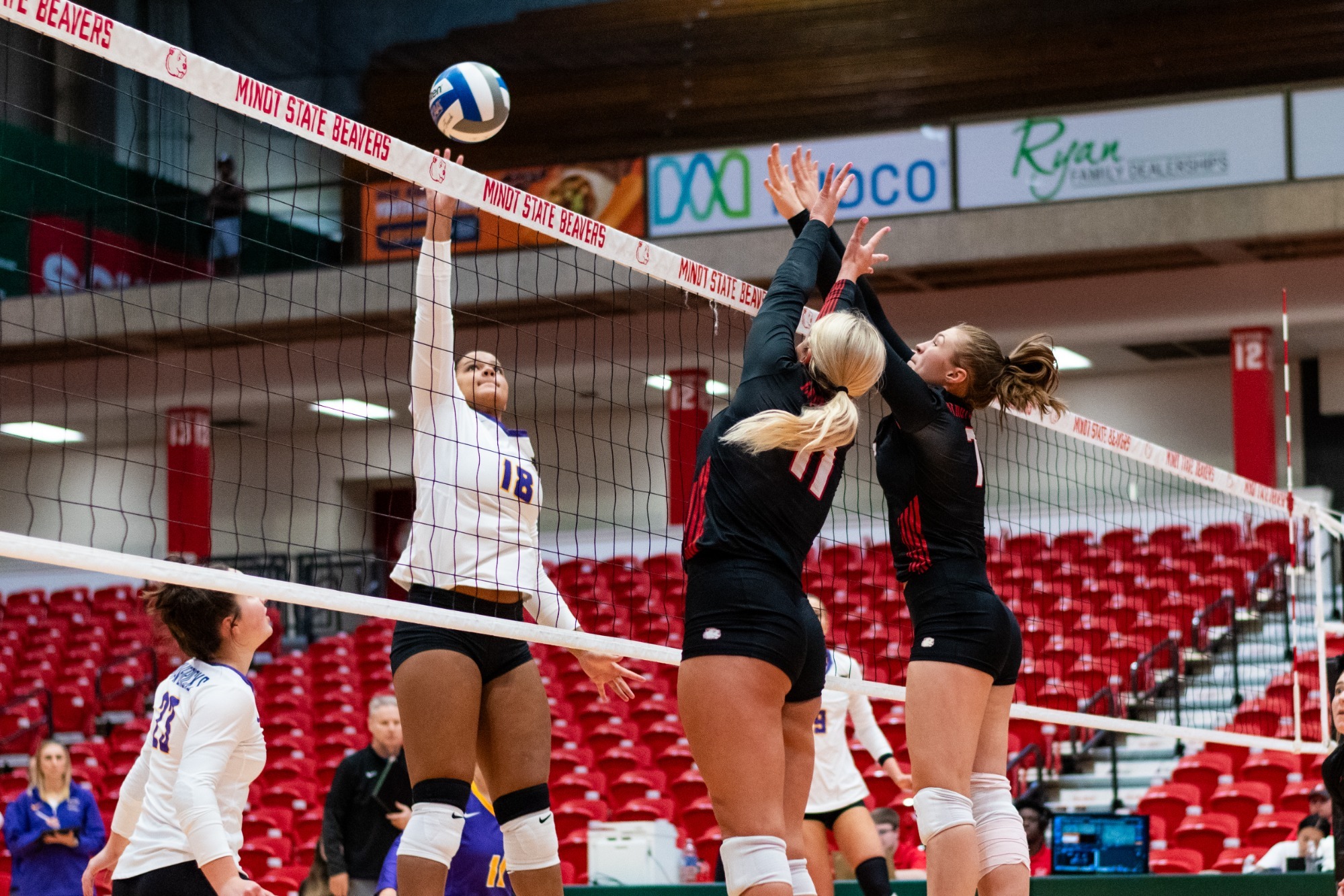 Mavericks Sweep Minot State Minnesota State University Mankato Athletics