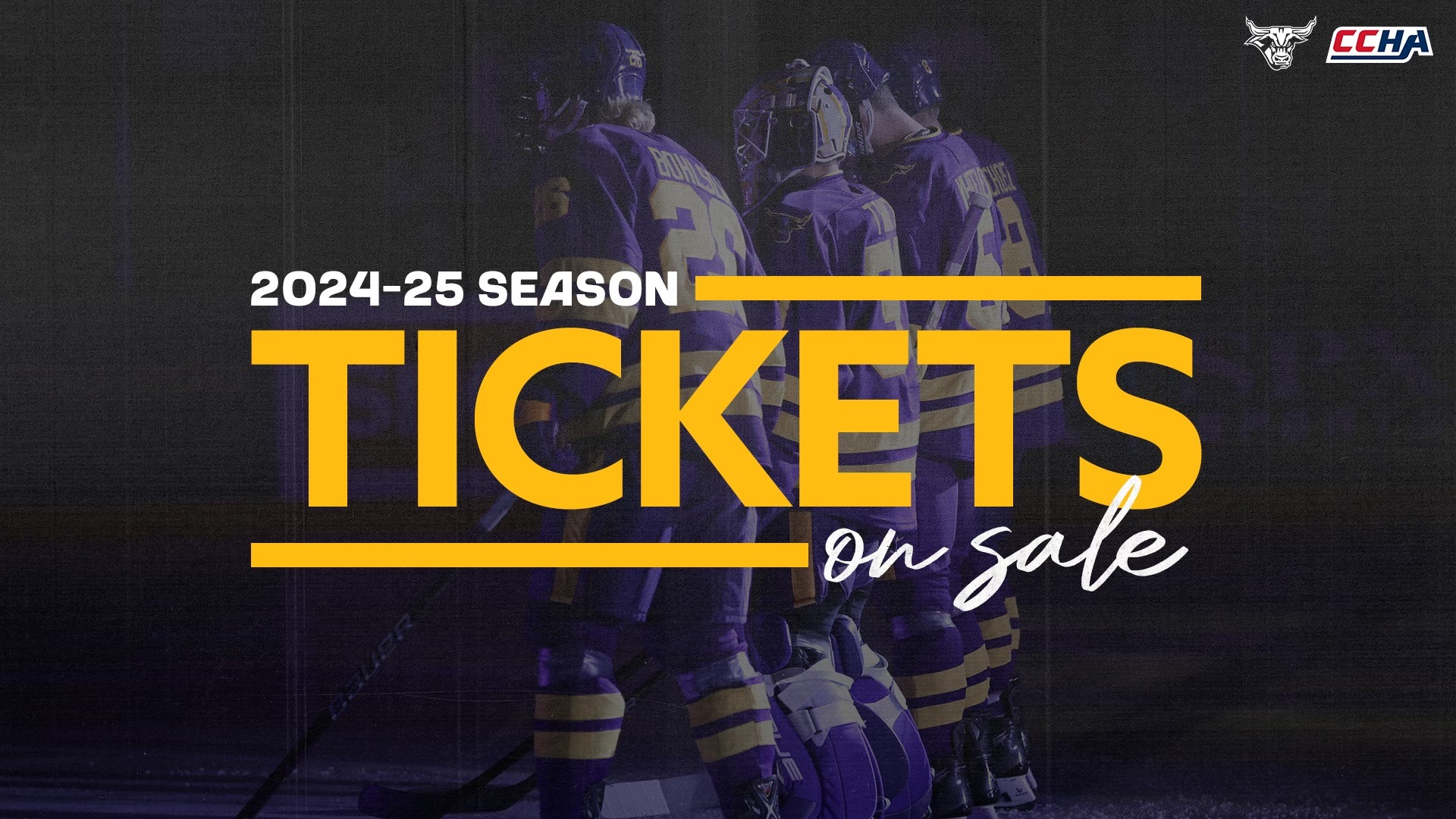 Men’s Hockey Announces 202425 Schedule Minnesota State University Mankato Athletics