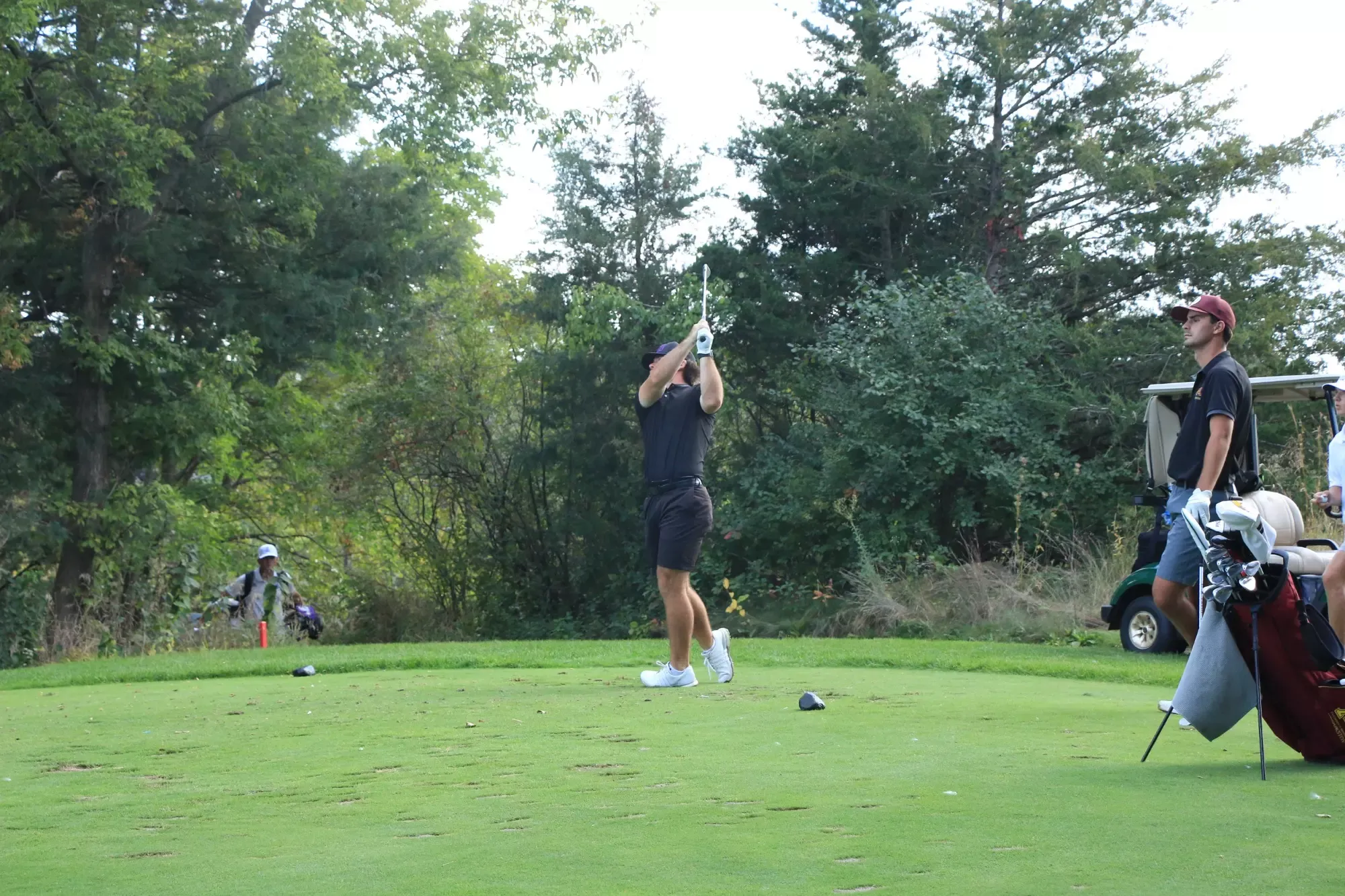 Patten_FallBrawl_2024