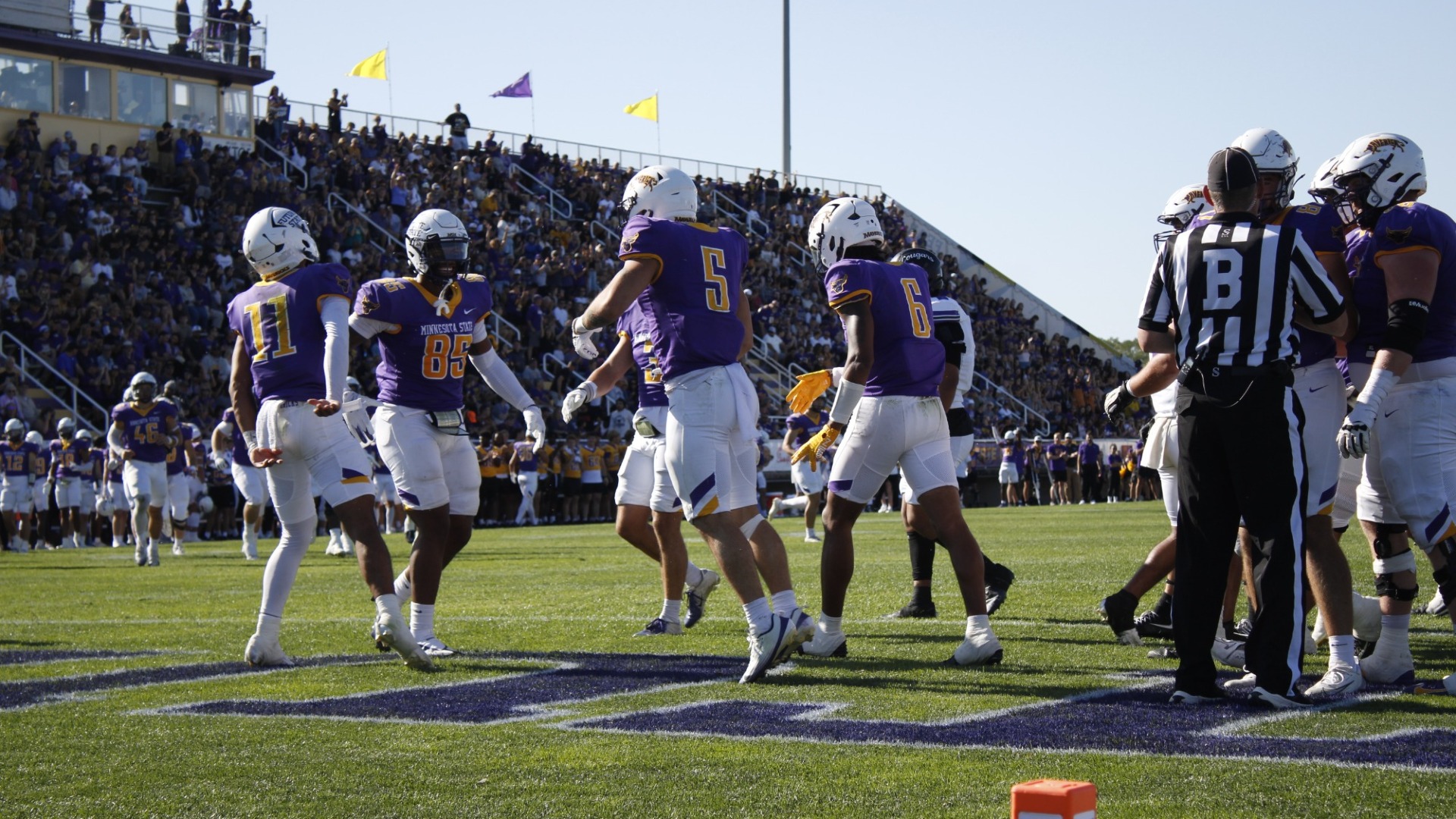 Football Action Celebration Home Game USF