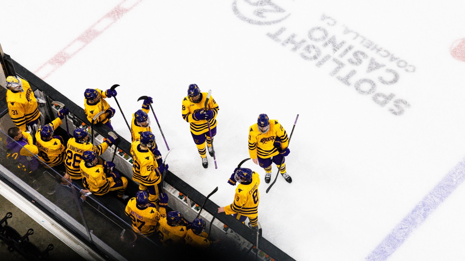 Overhead shot cactus cup Mavericks at bench