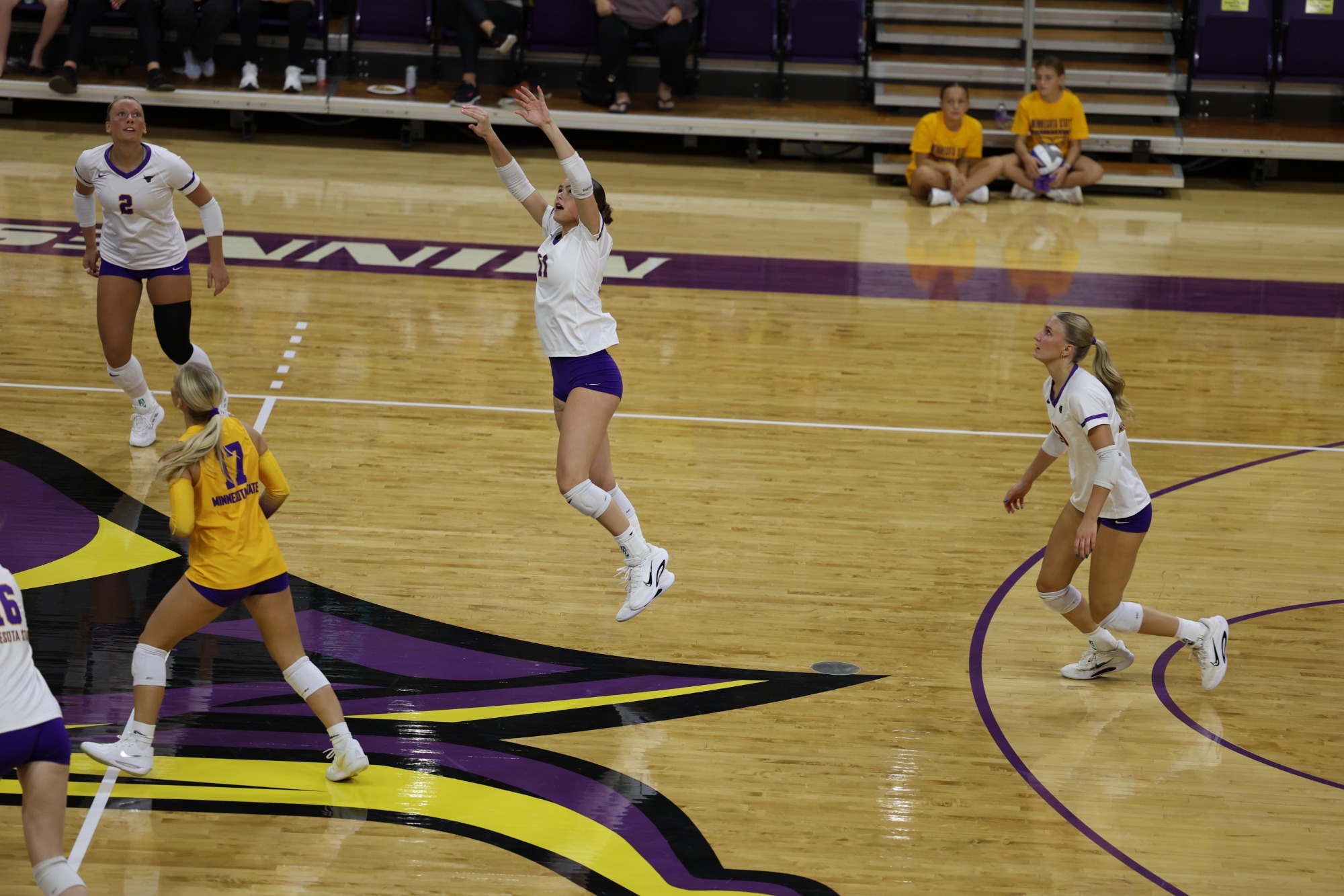 Jadyn Lester setting