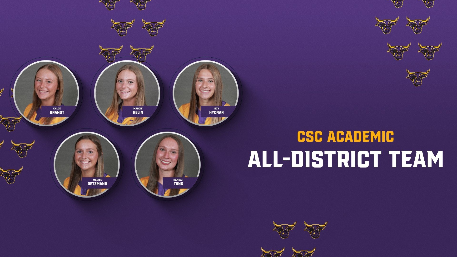 Softball CSC Academic All-District Team Graphic