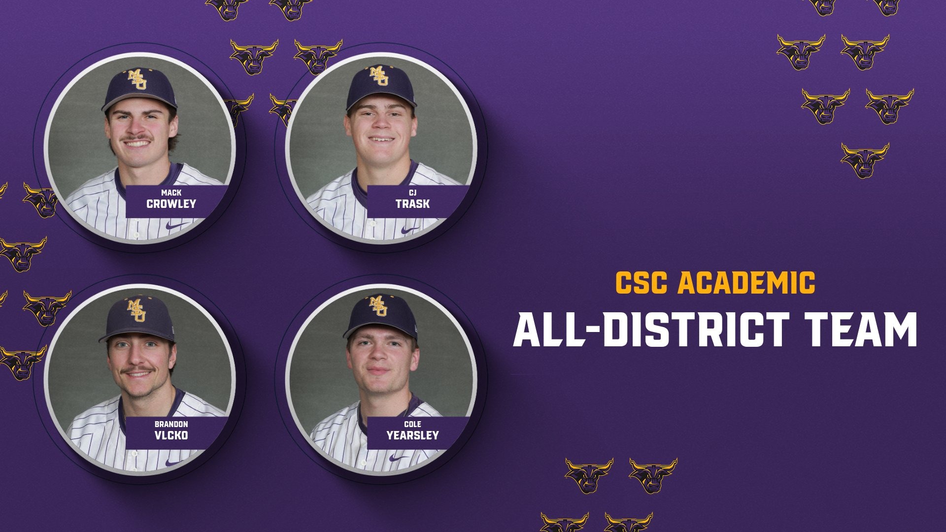 Baseball CSC Academic All-District Graphic