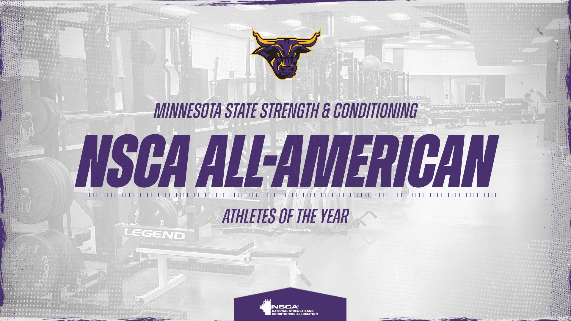 A graphic for the NSCA All-Americans