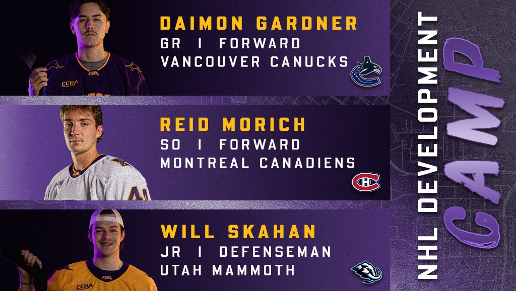 A graphic for our men's hockey players in developmental camp