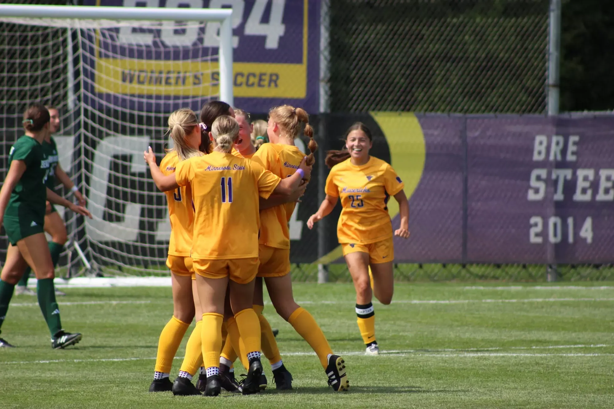 Team celebrating a goal