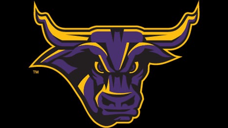 MSU Logo Web