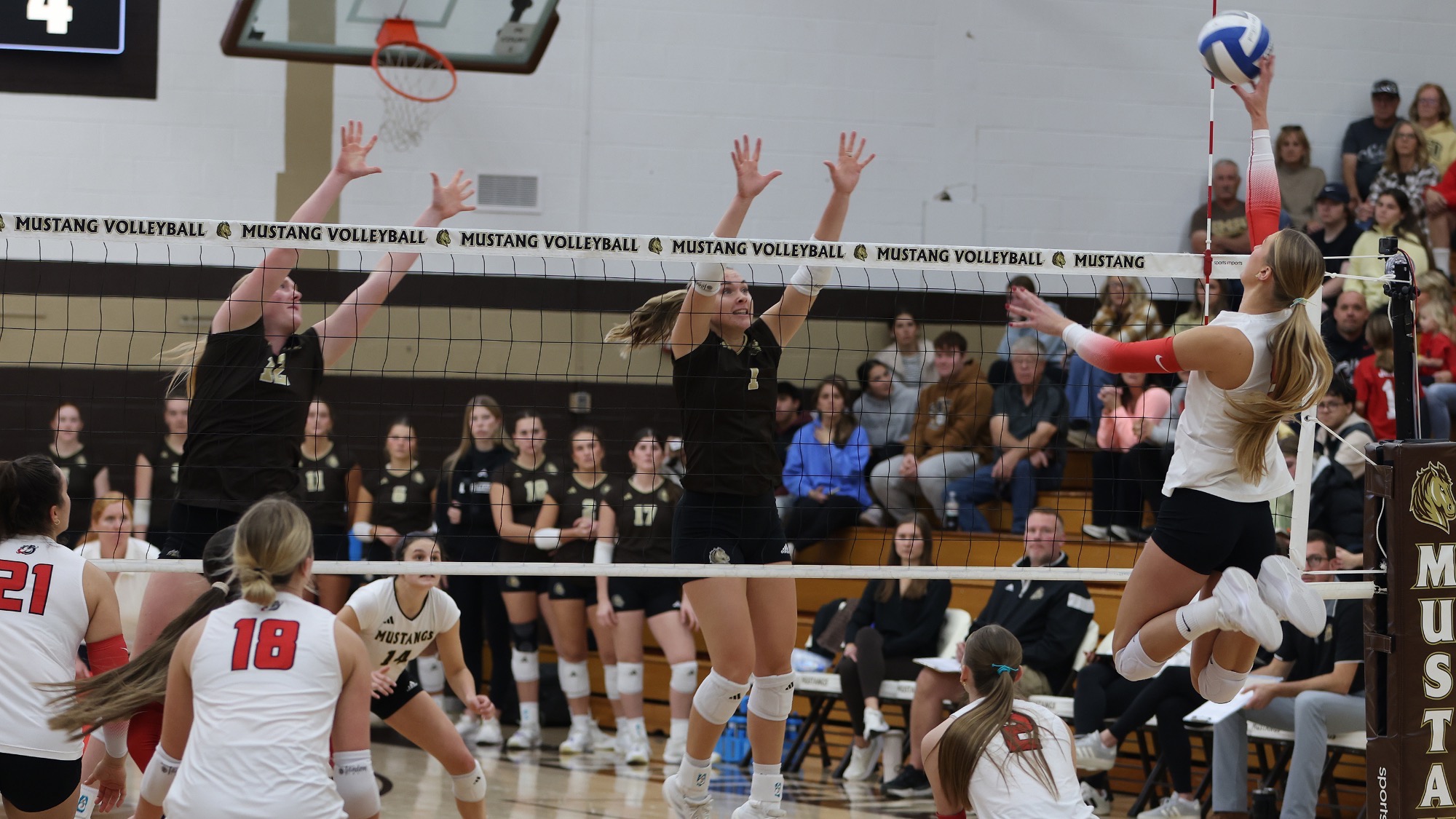 MSUM volleyball fell in straight sets to #11 SMSU on Saturday