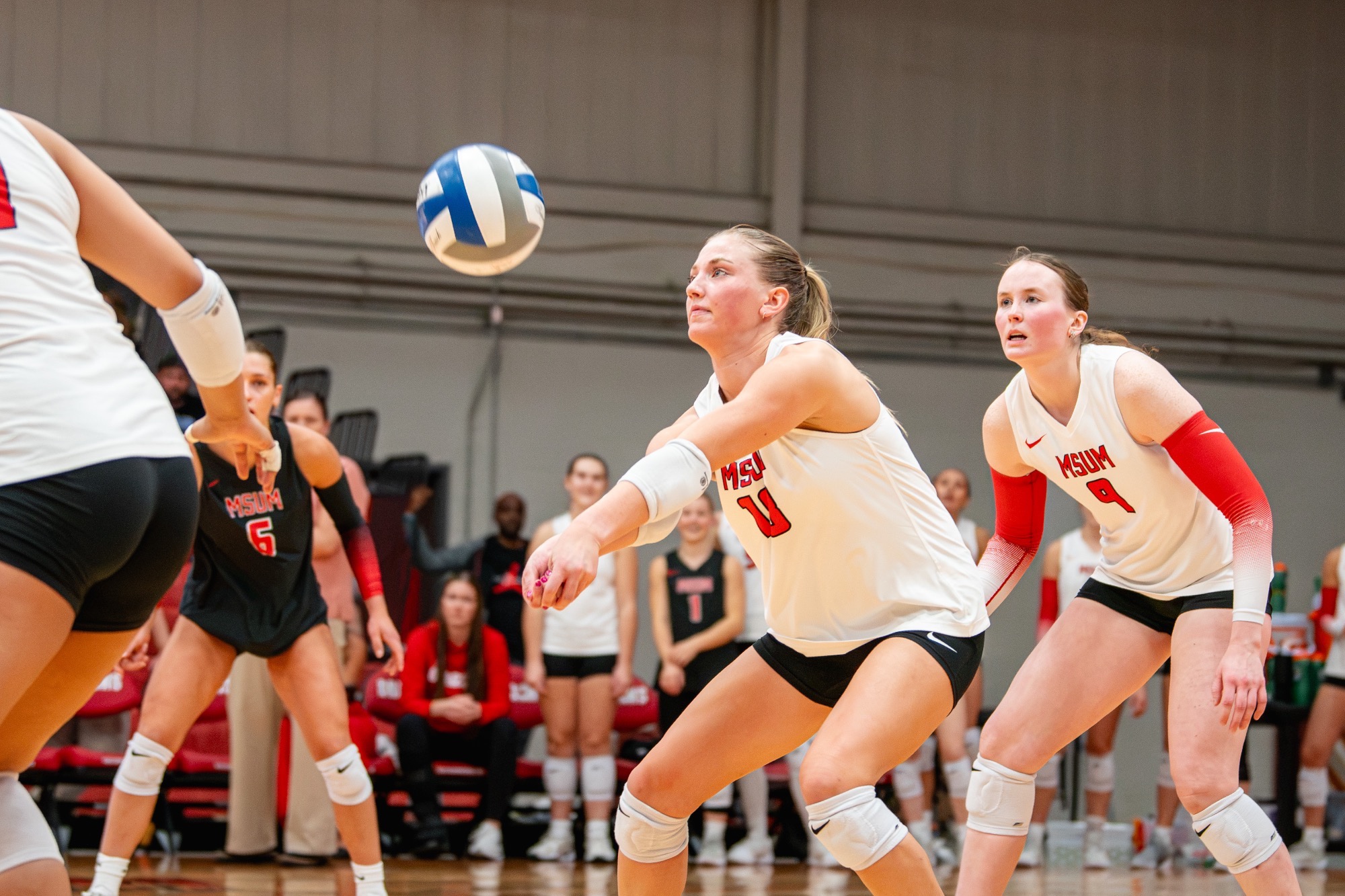 Maci Martini logged her 1,000th career dig on Saturday against Minot State, tallying a total of 39 digs in the match