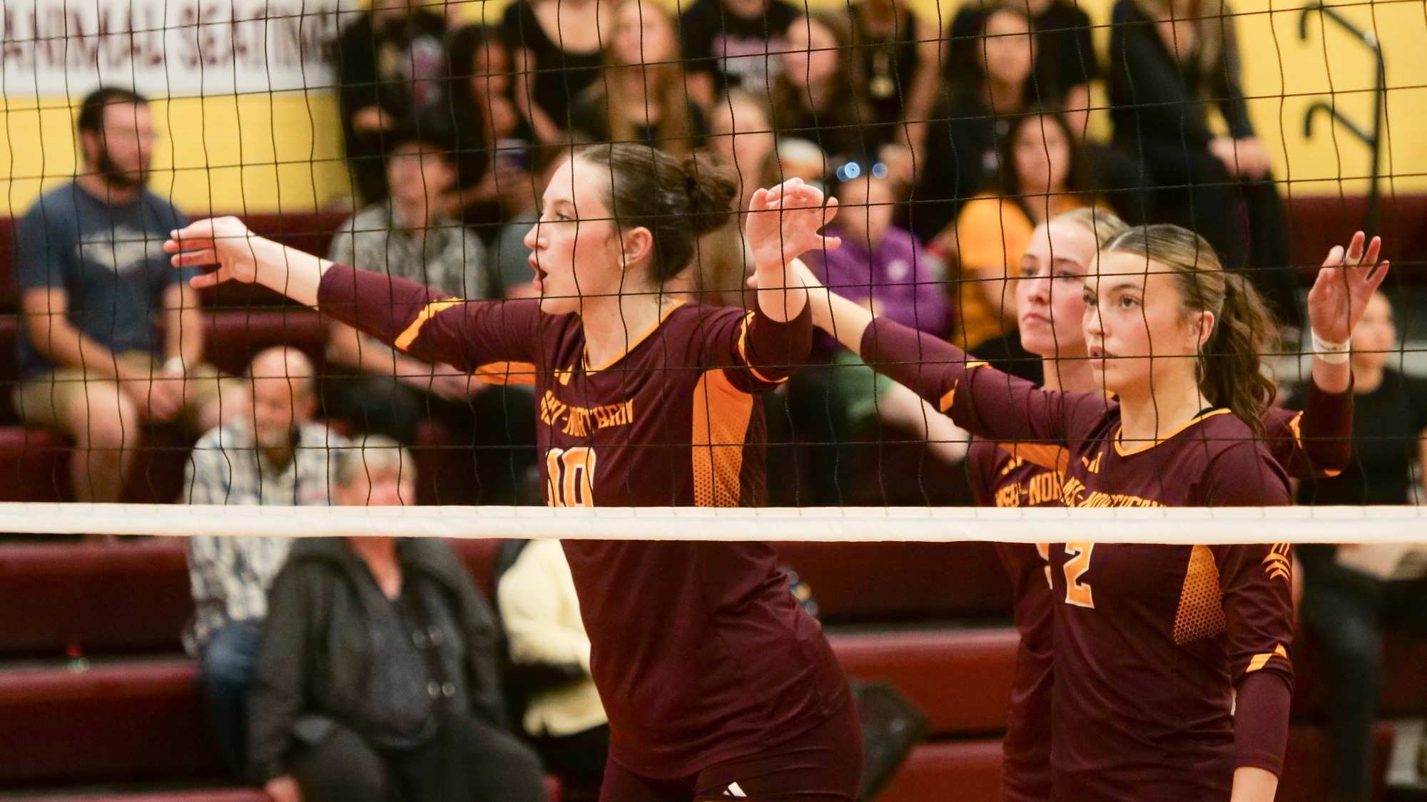 Volleyball1