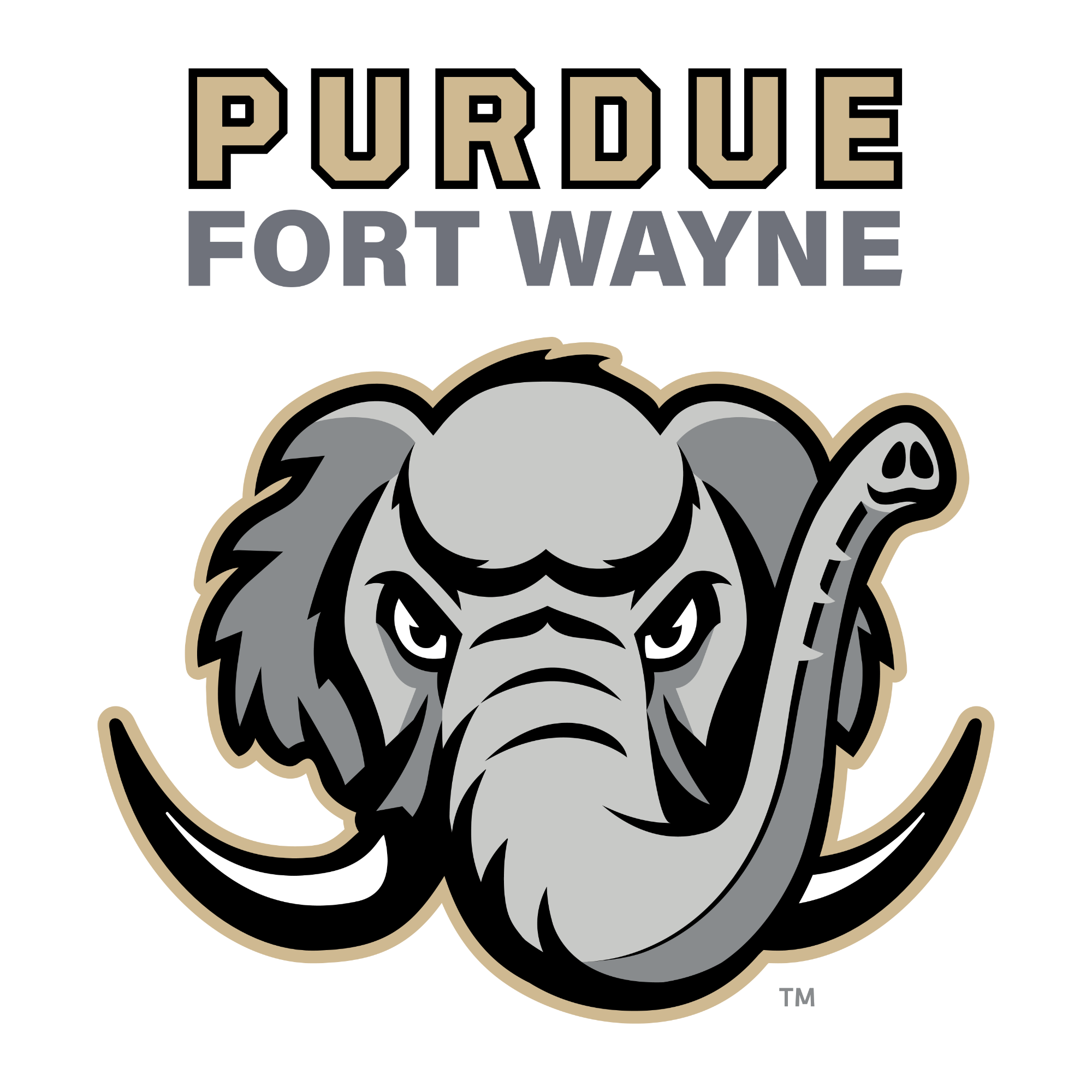 Opponent Logo