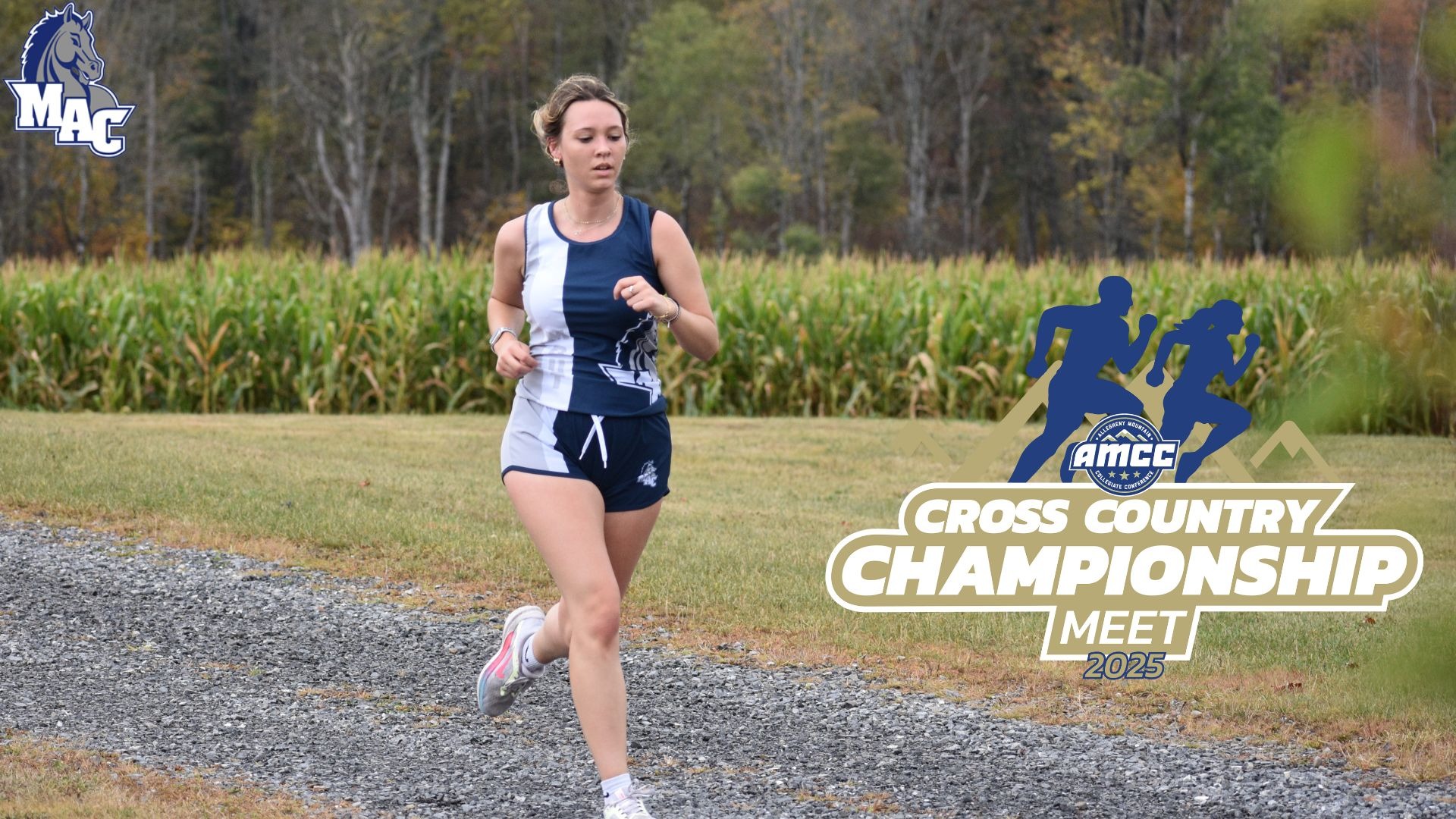 CC Championship Preview