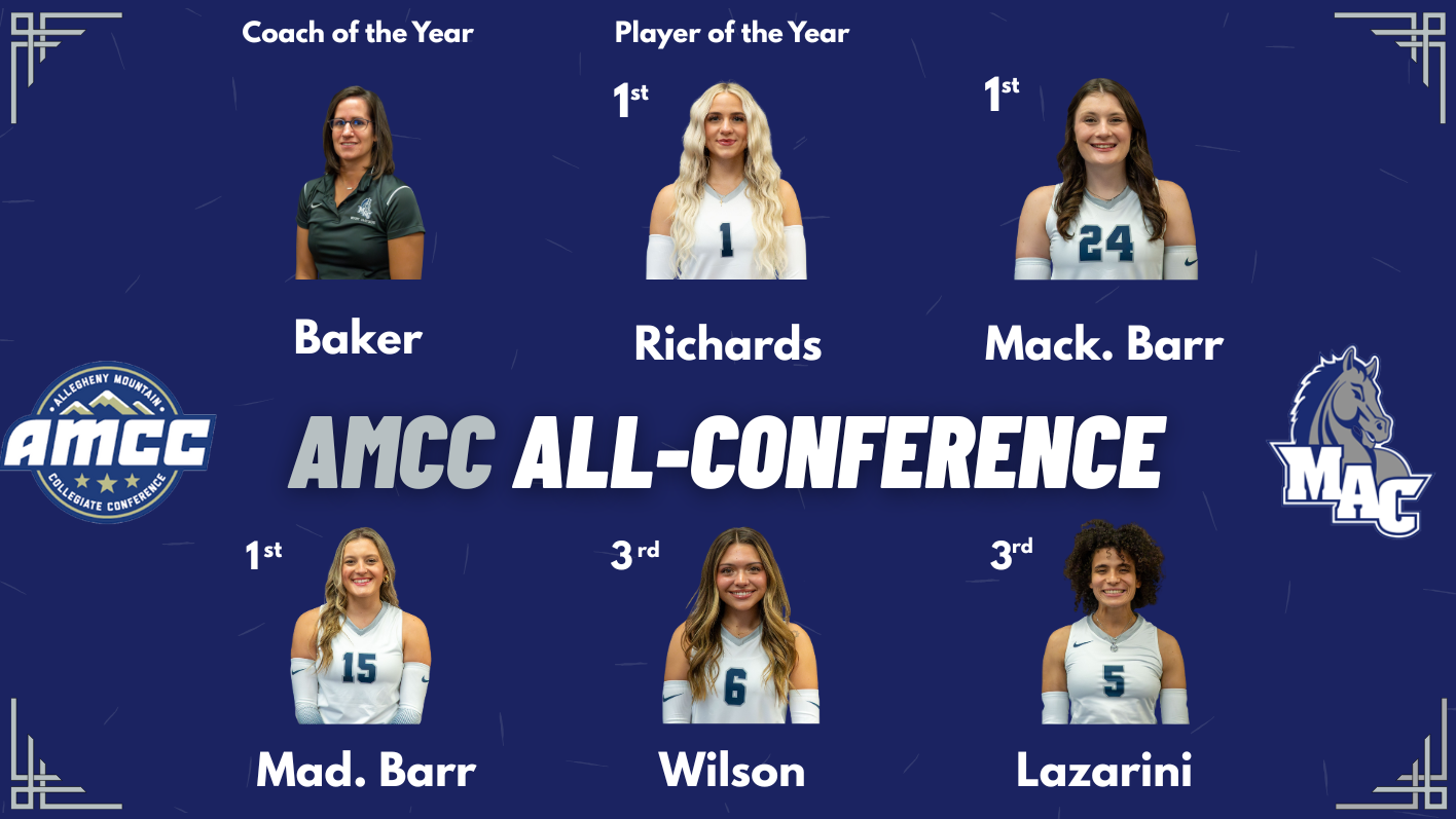 WVB All-Conf Graphic